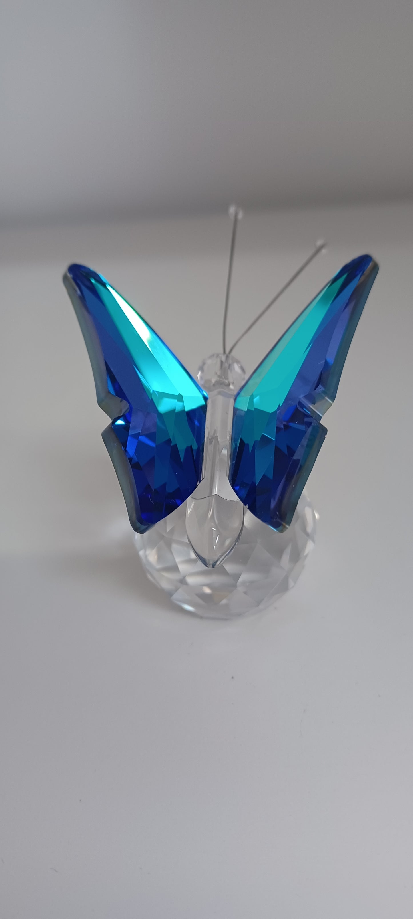Glass Butterfly