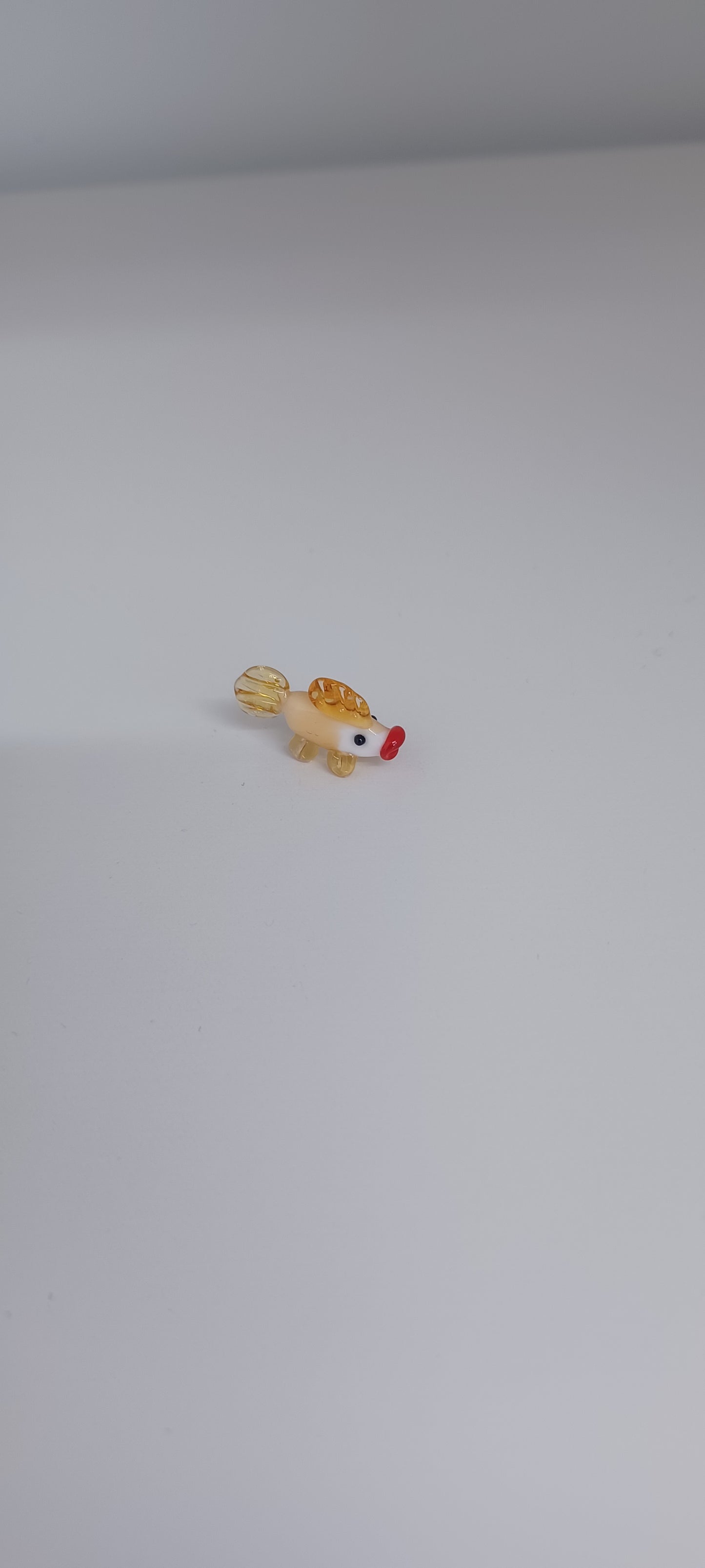 Glass Fish