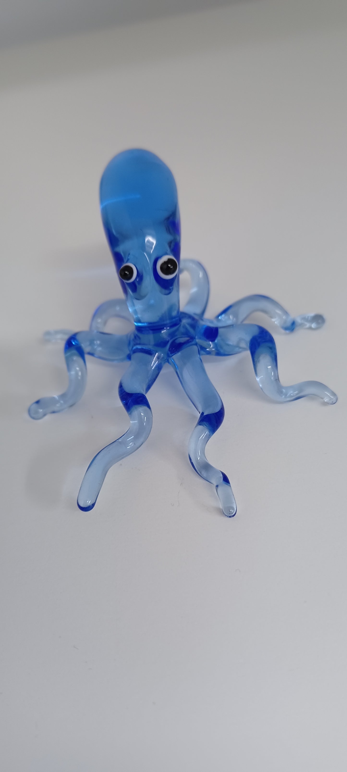 Glass Octopus