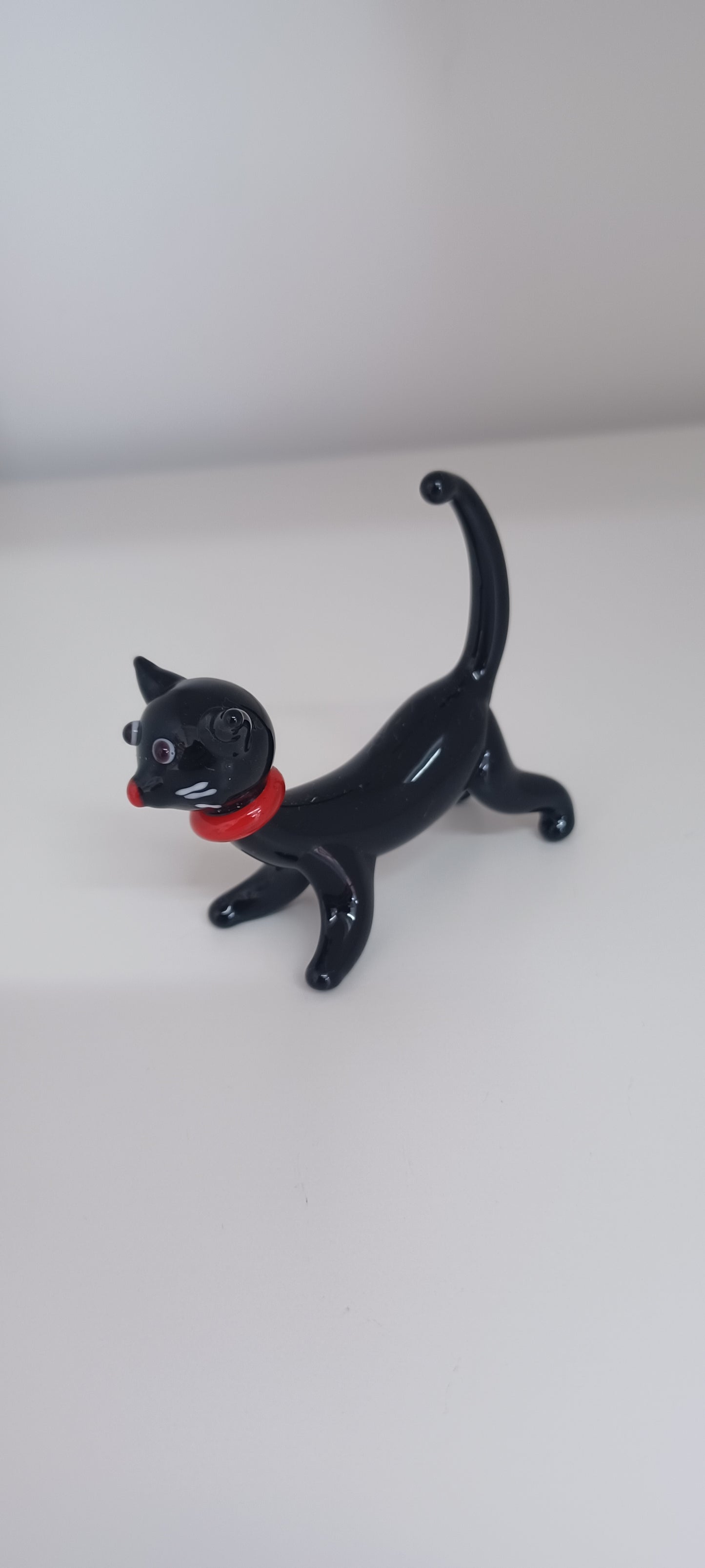 Glass Cat