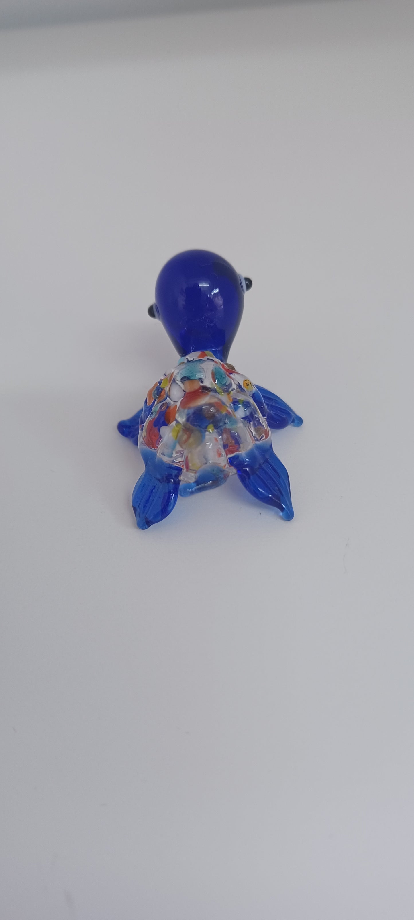 Glass Turtle