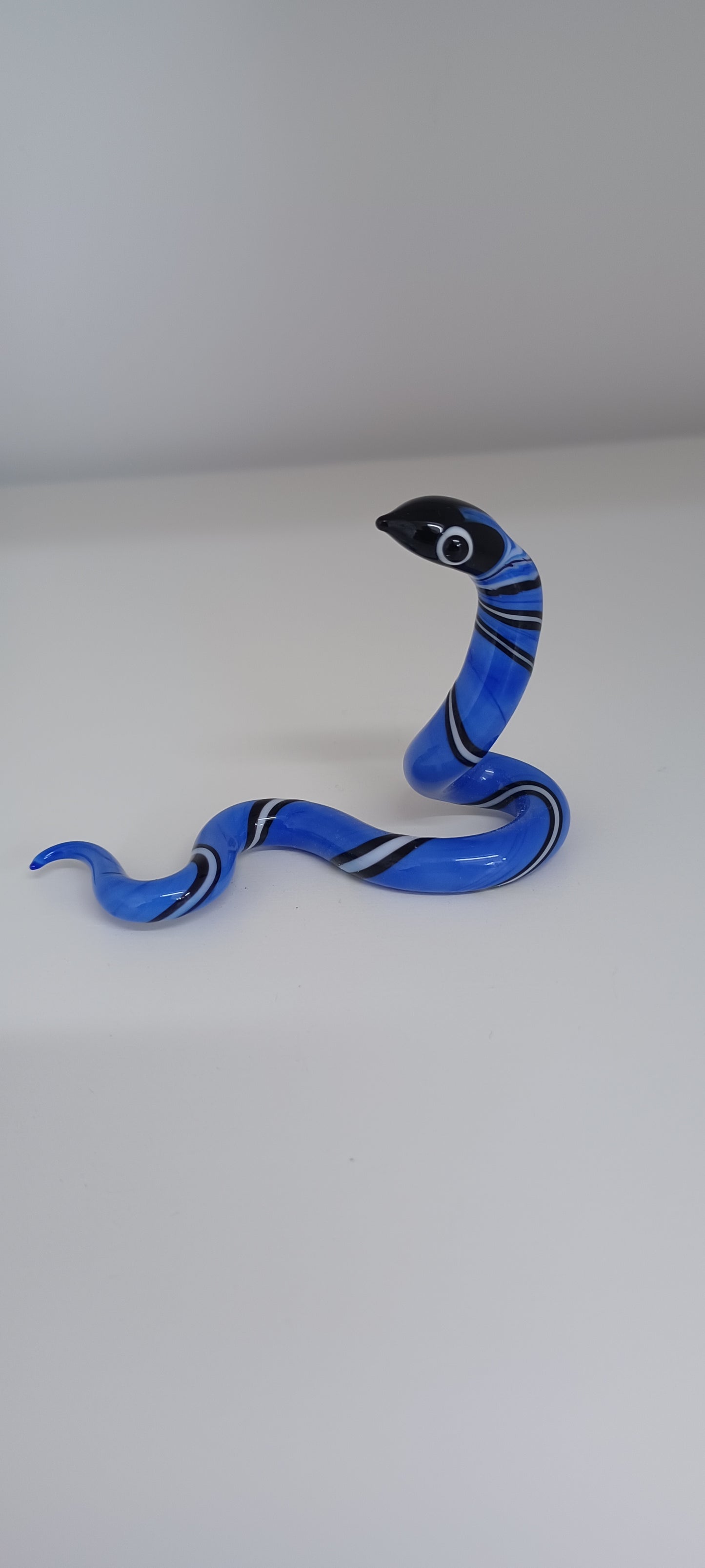 Glass Snake