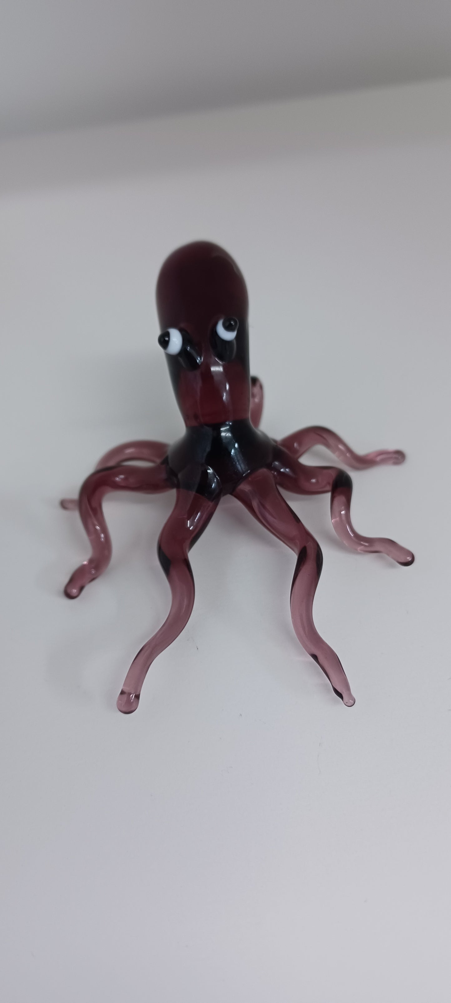 Glass Octopus