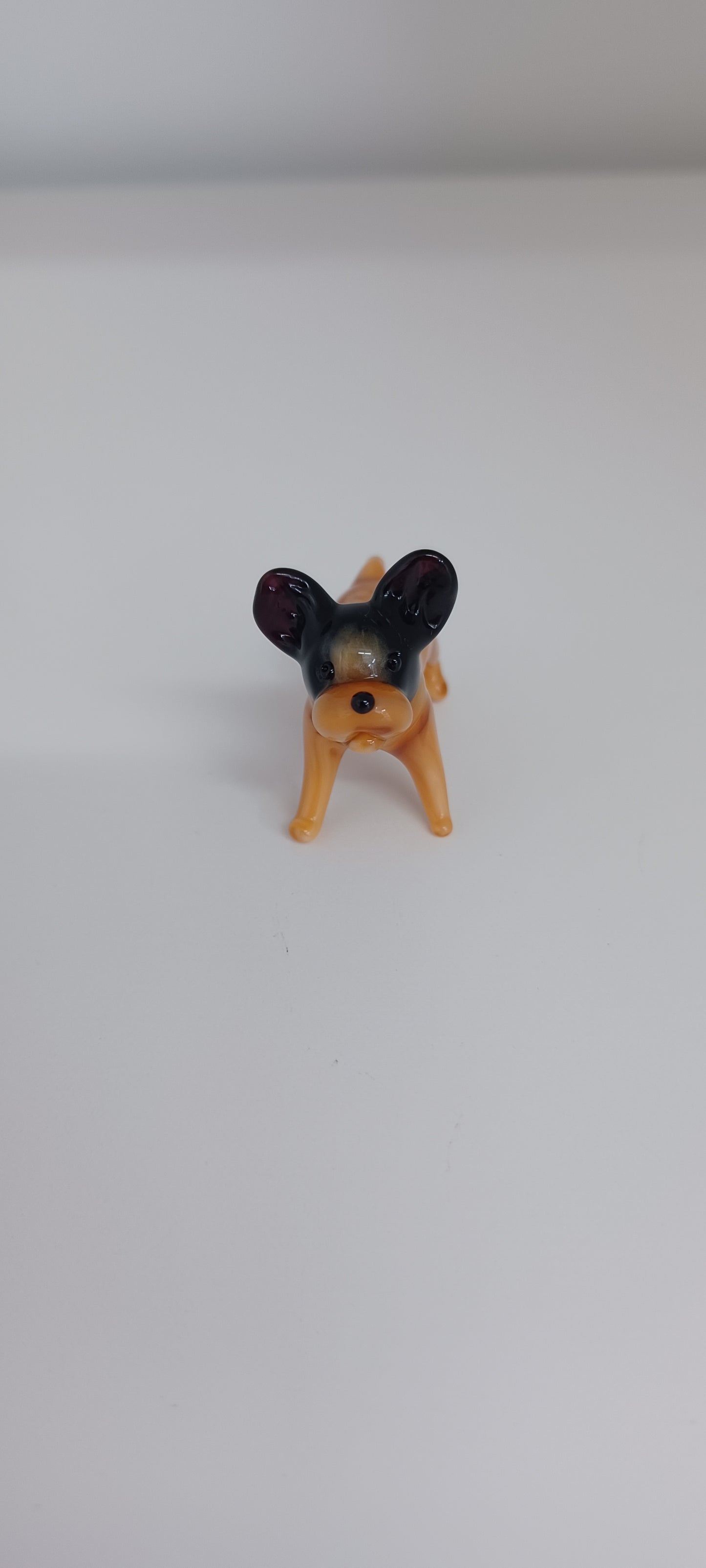 Glass Dog