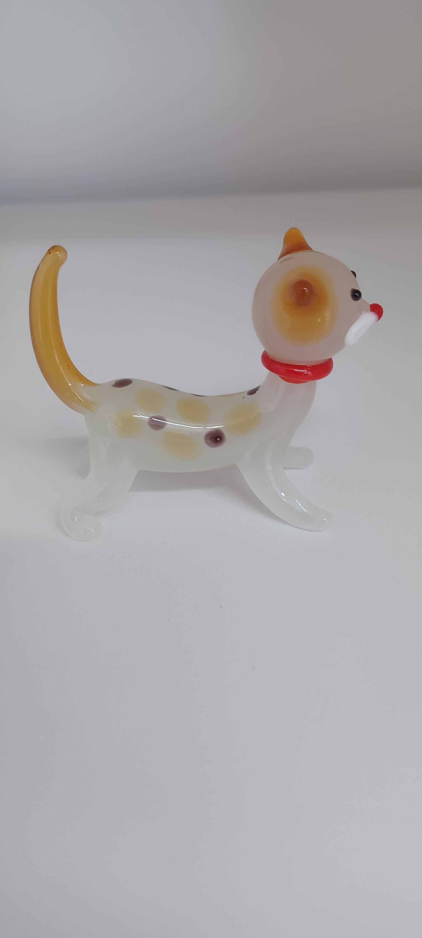 Glass Cat