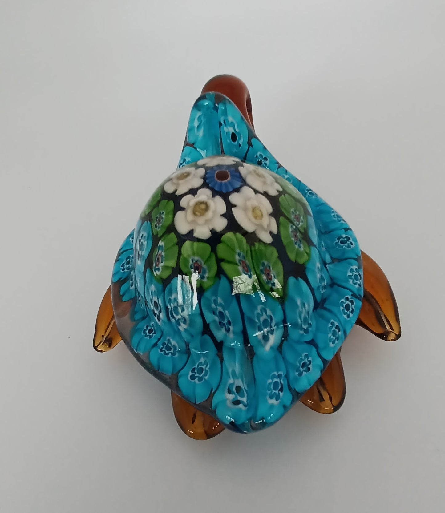Glass Turtle