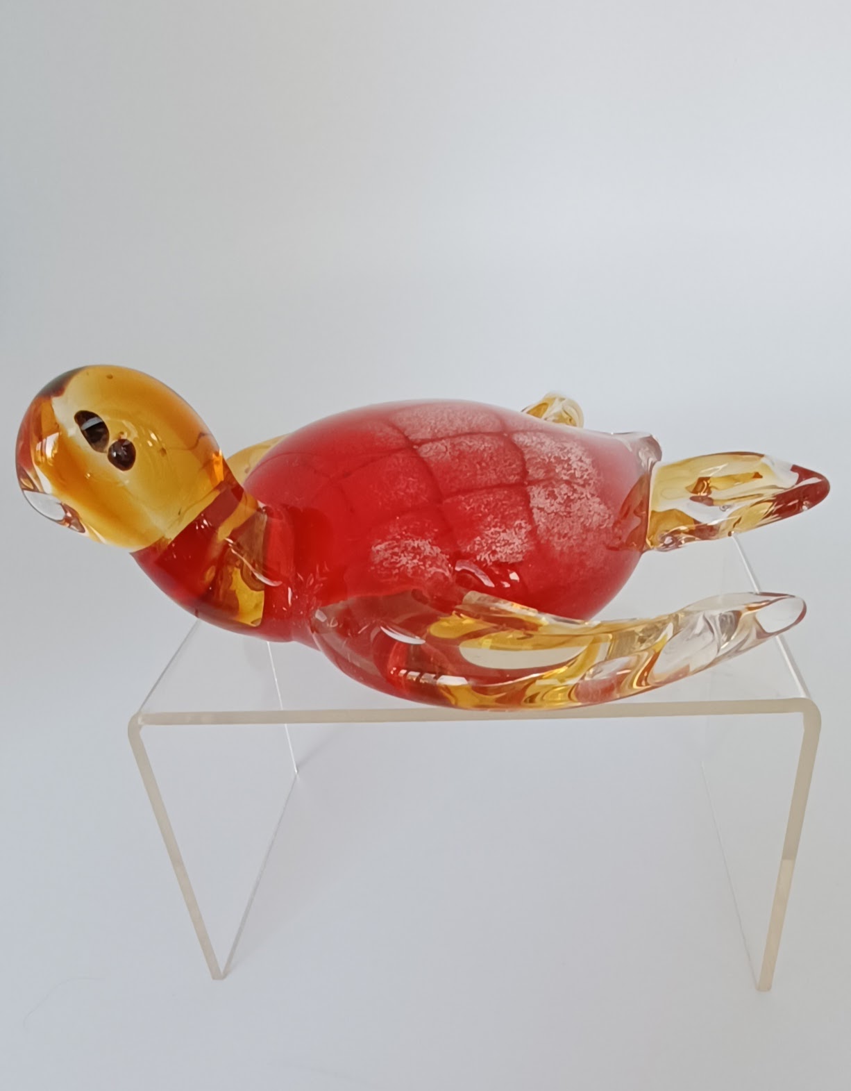 Glass Turtle