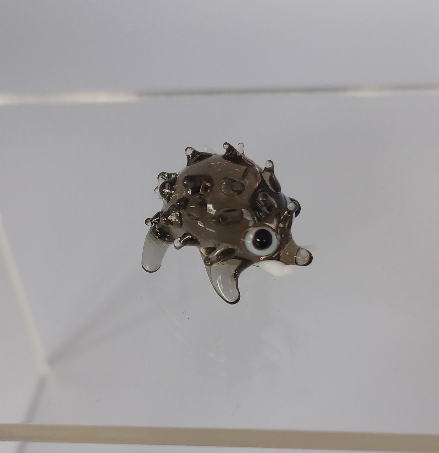 Glass Boar