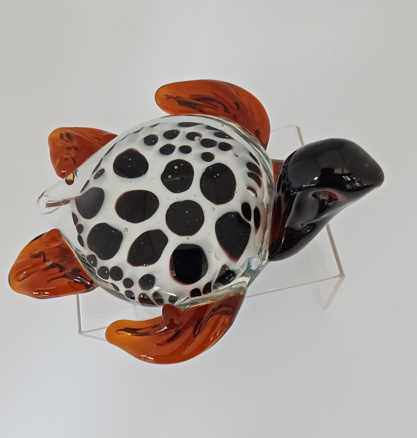 Glass Turtle