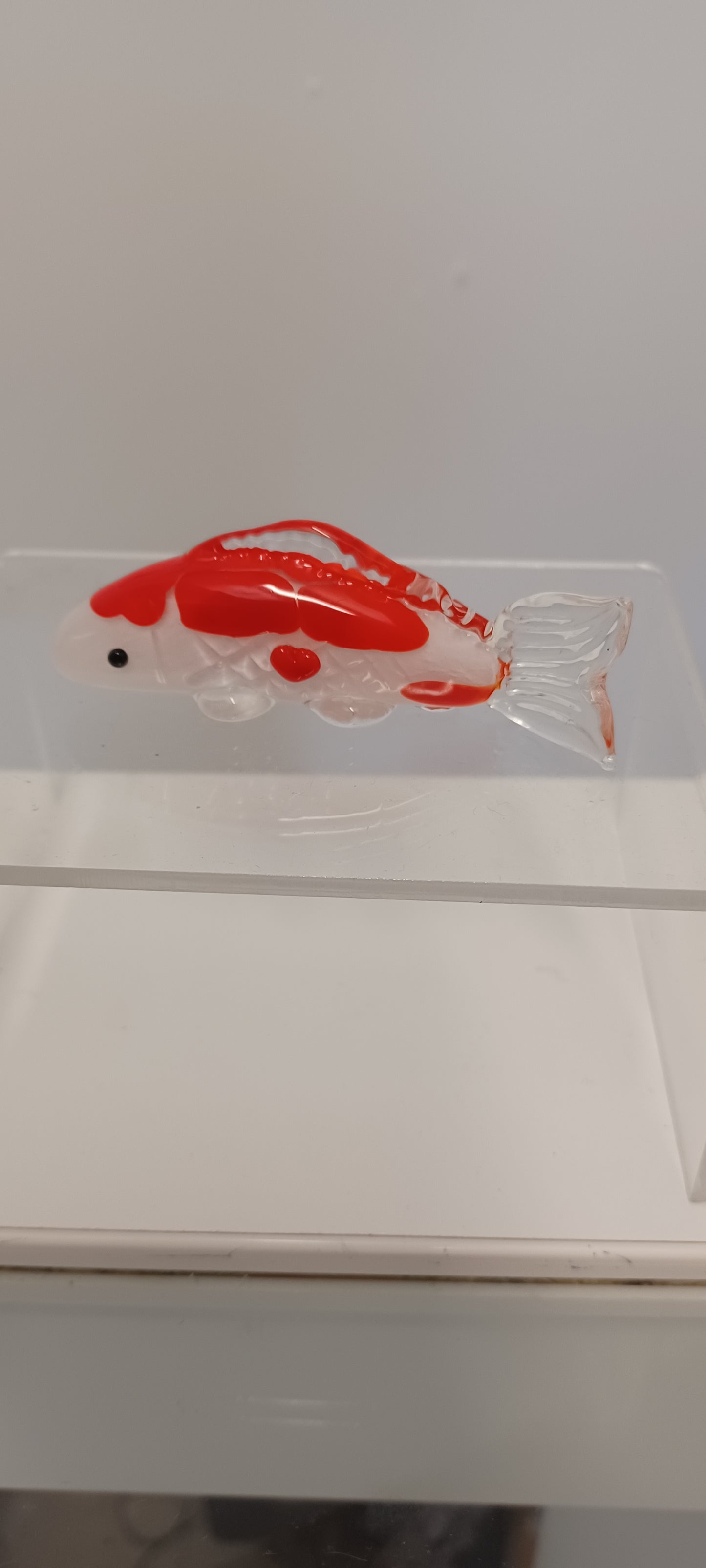 Koi Fish