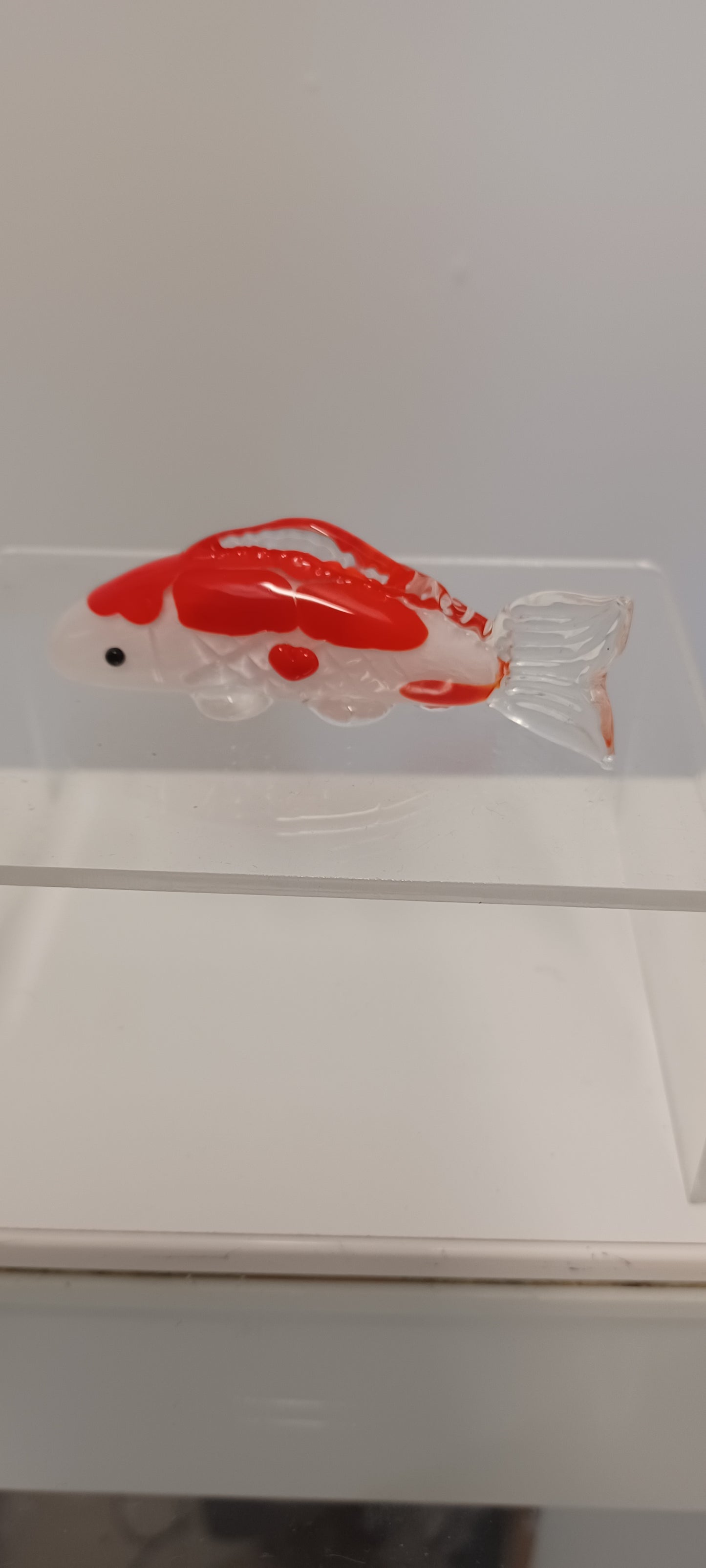 Koi Fish