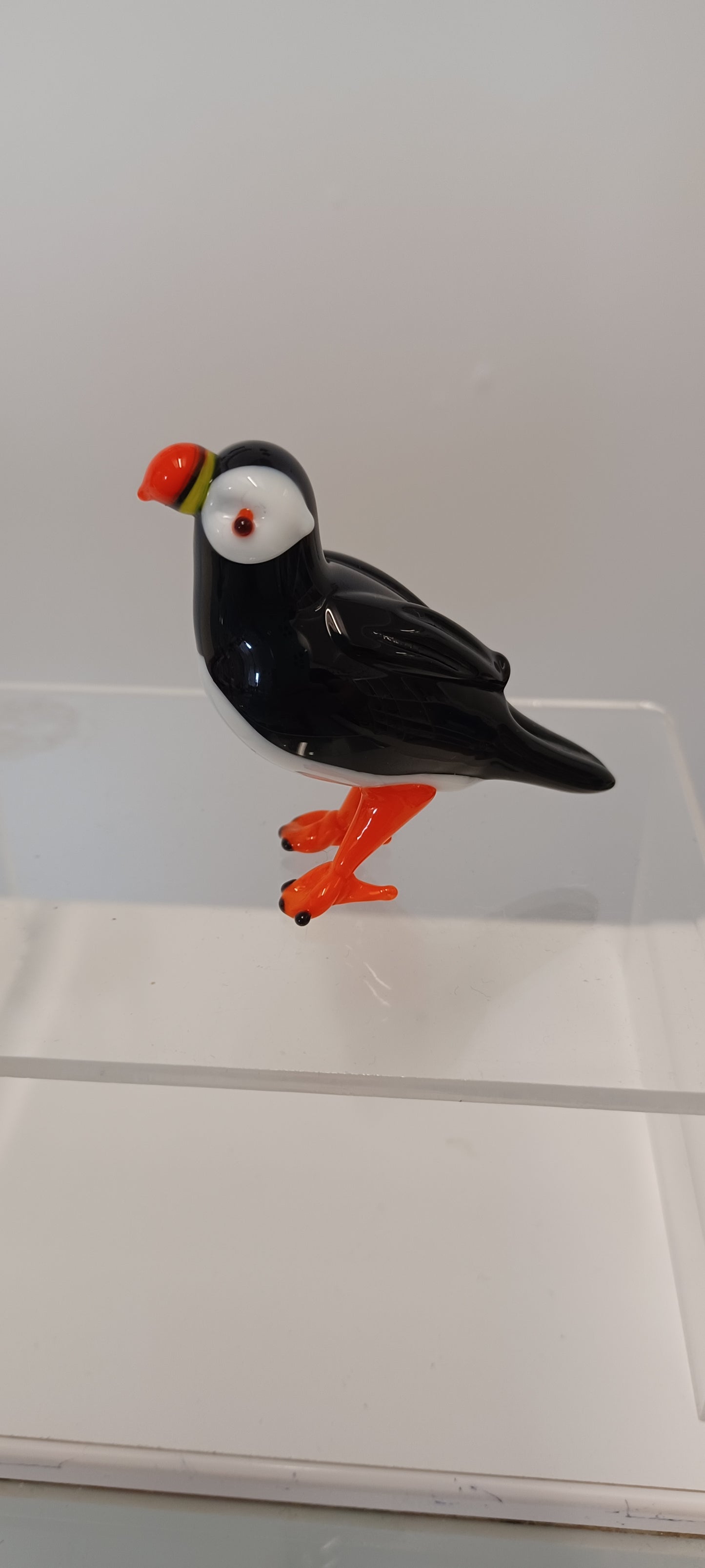 Glass Puffin