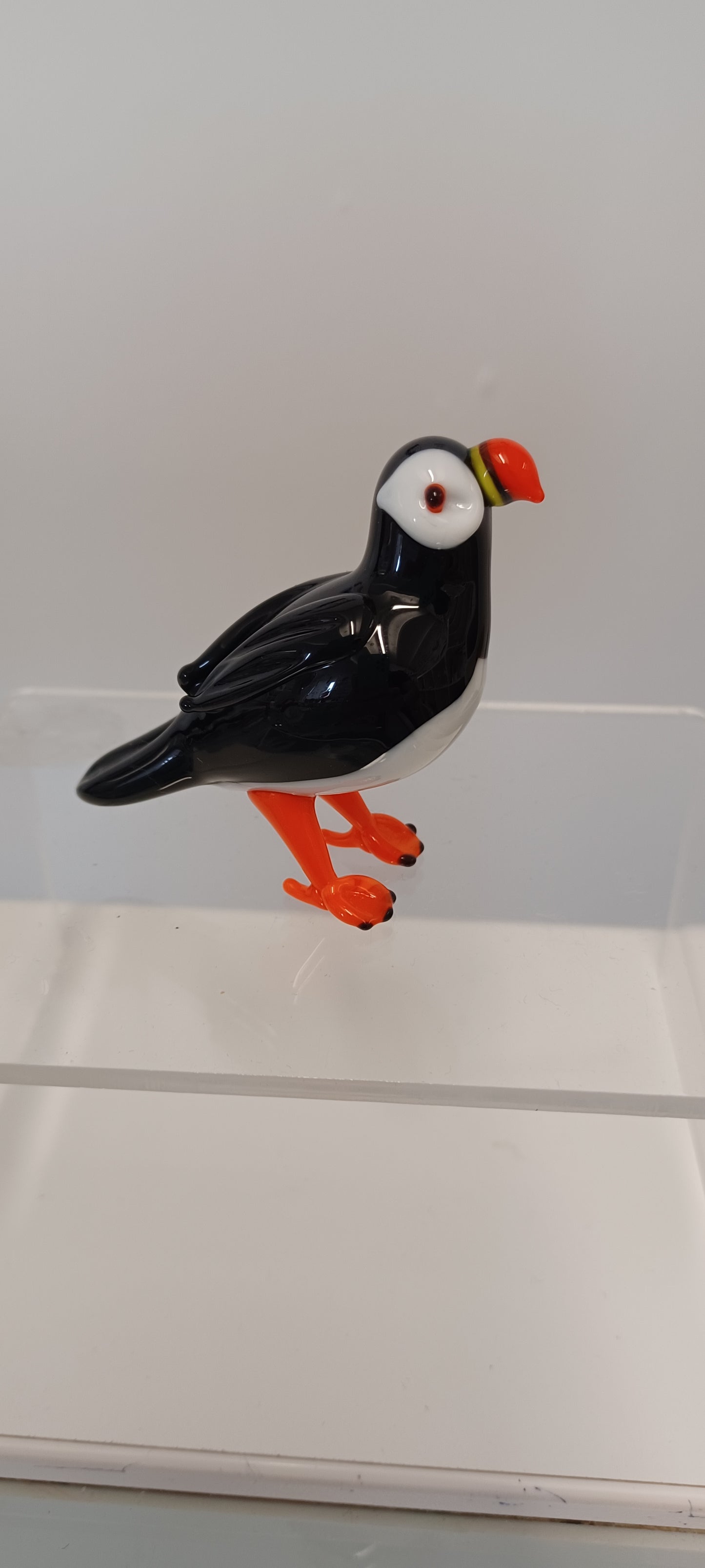 Glass Puffin