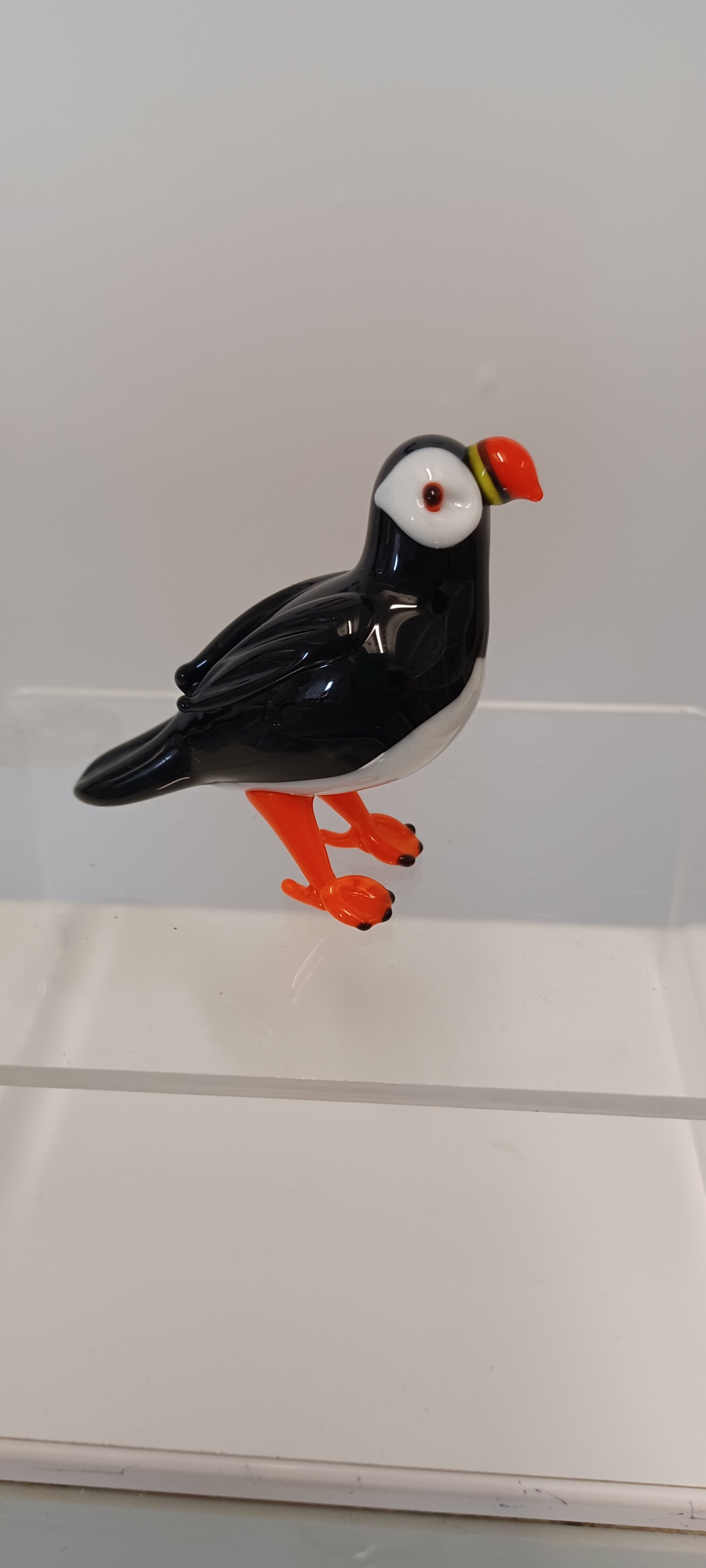Glass Puffin