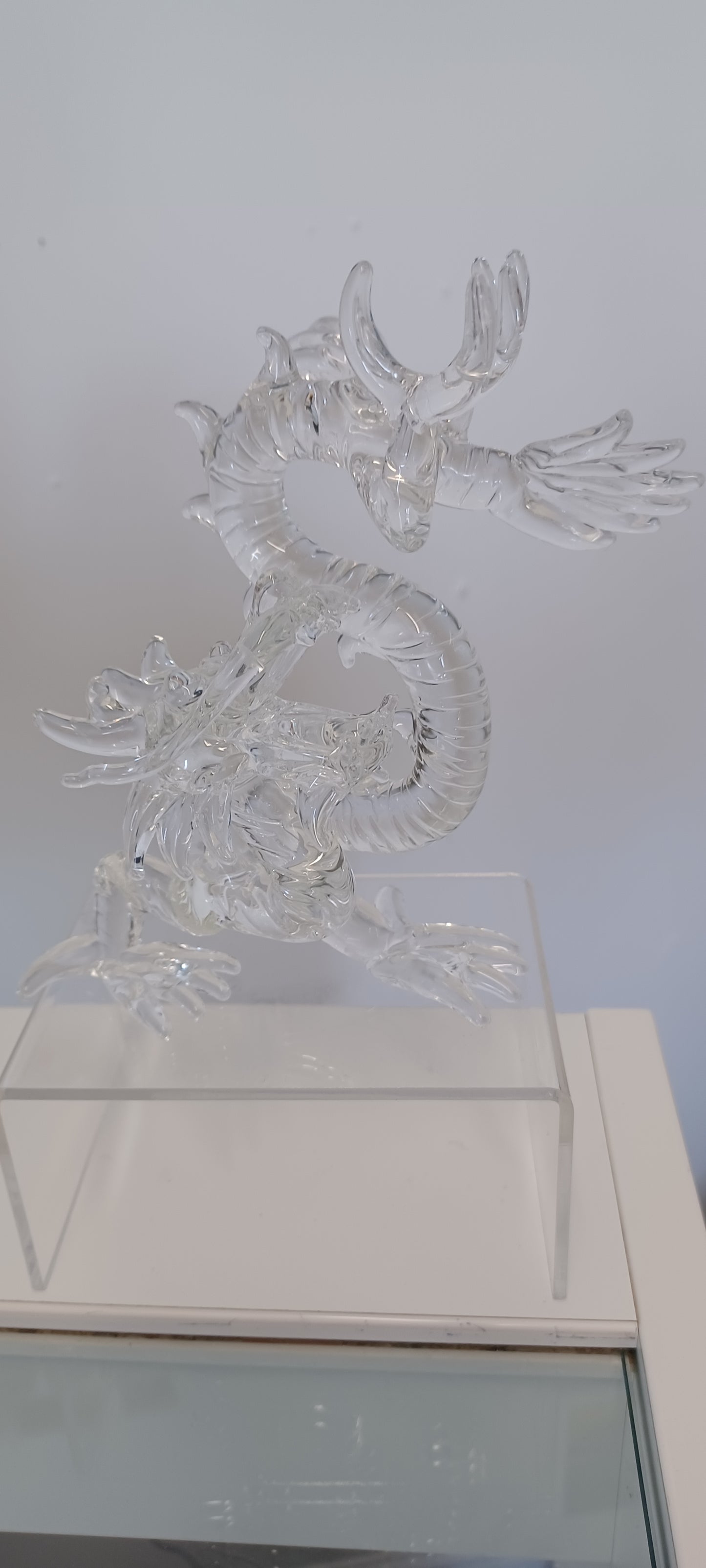 Glass Dragon