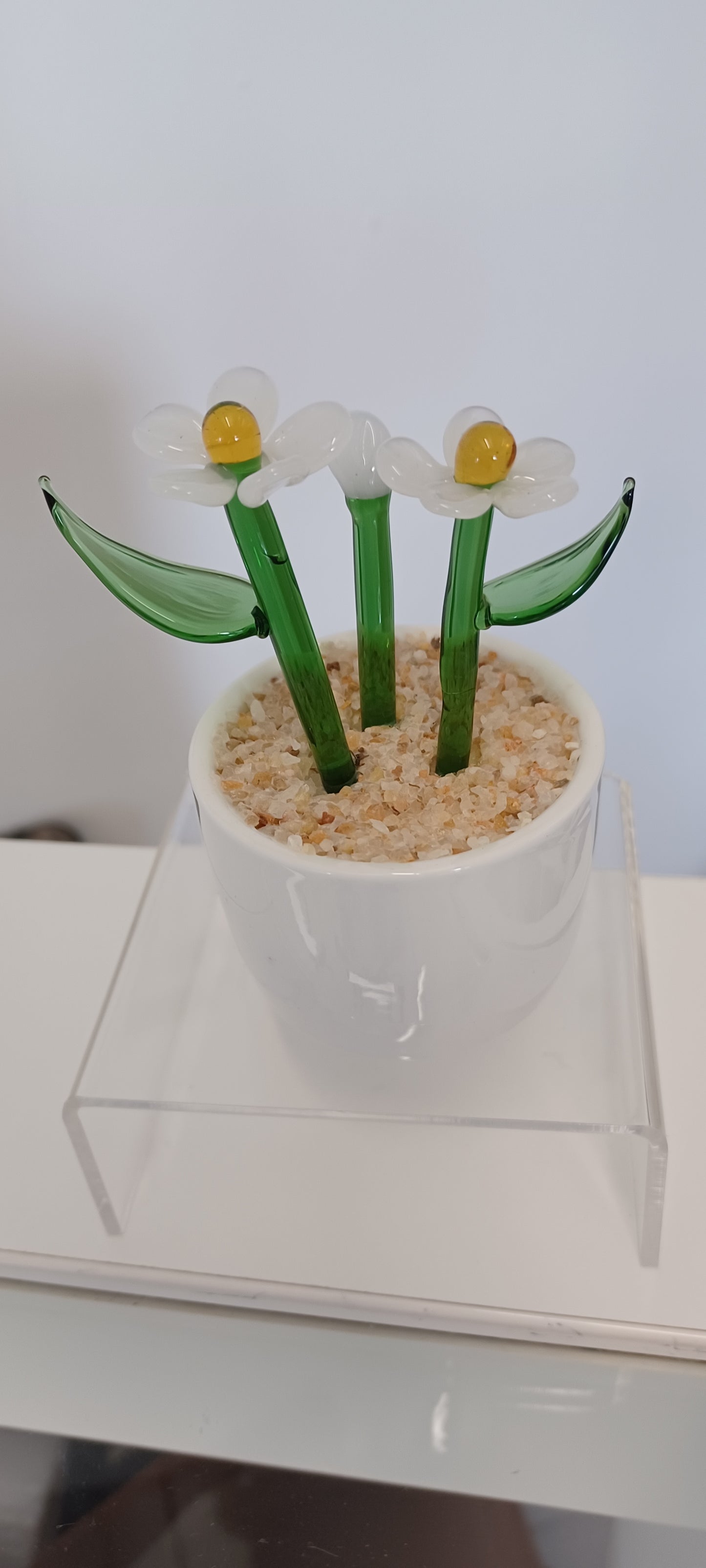 Glass Flower