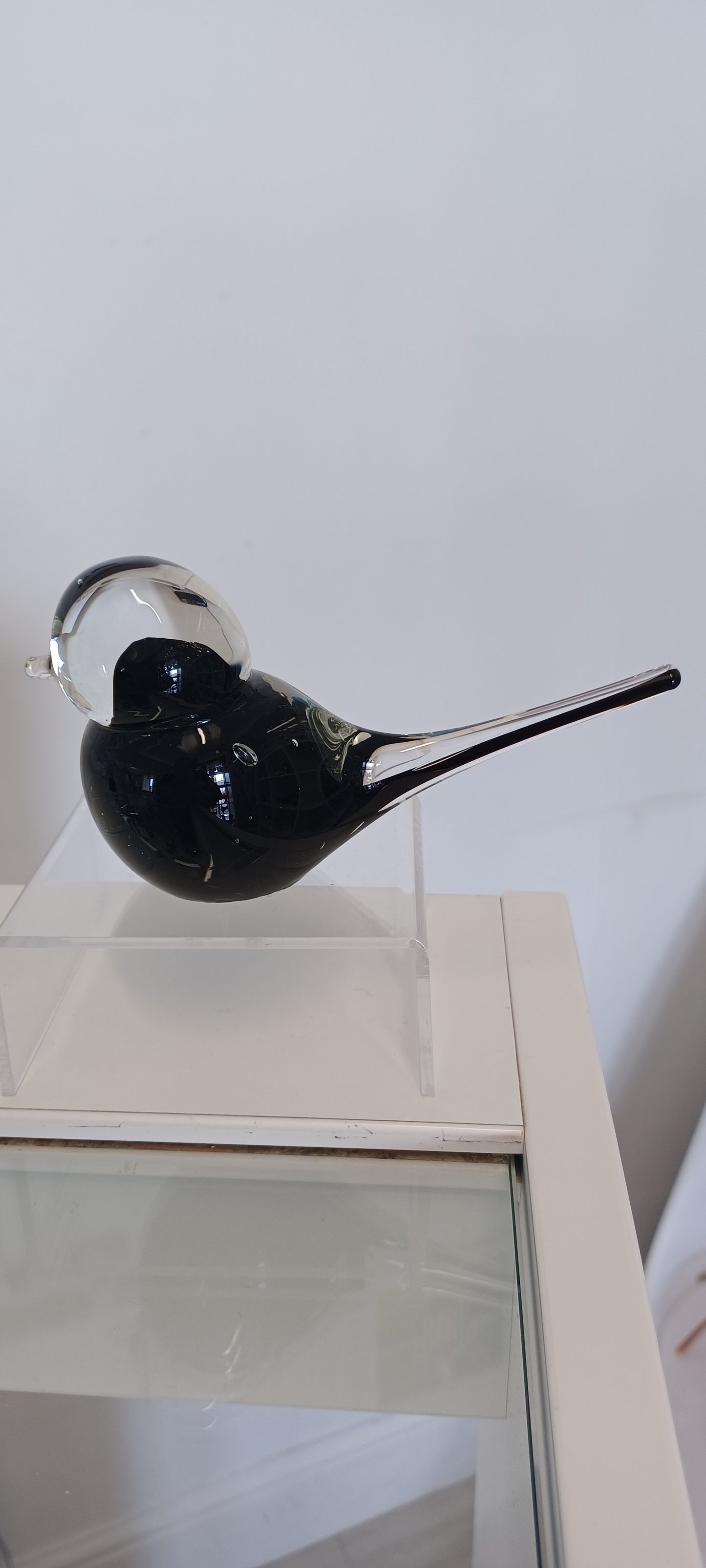 Glass Bird