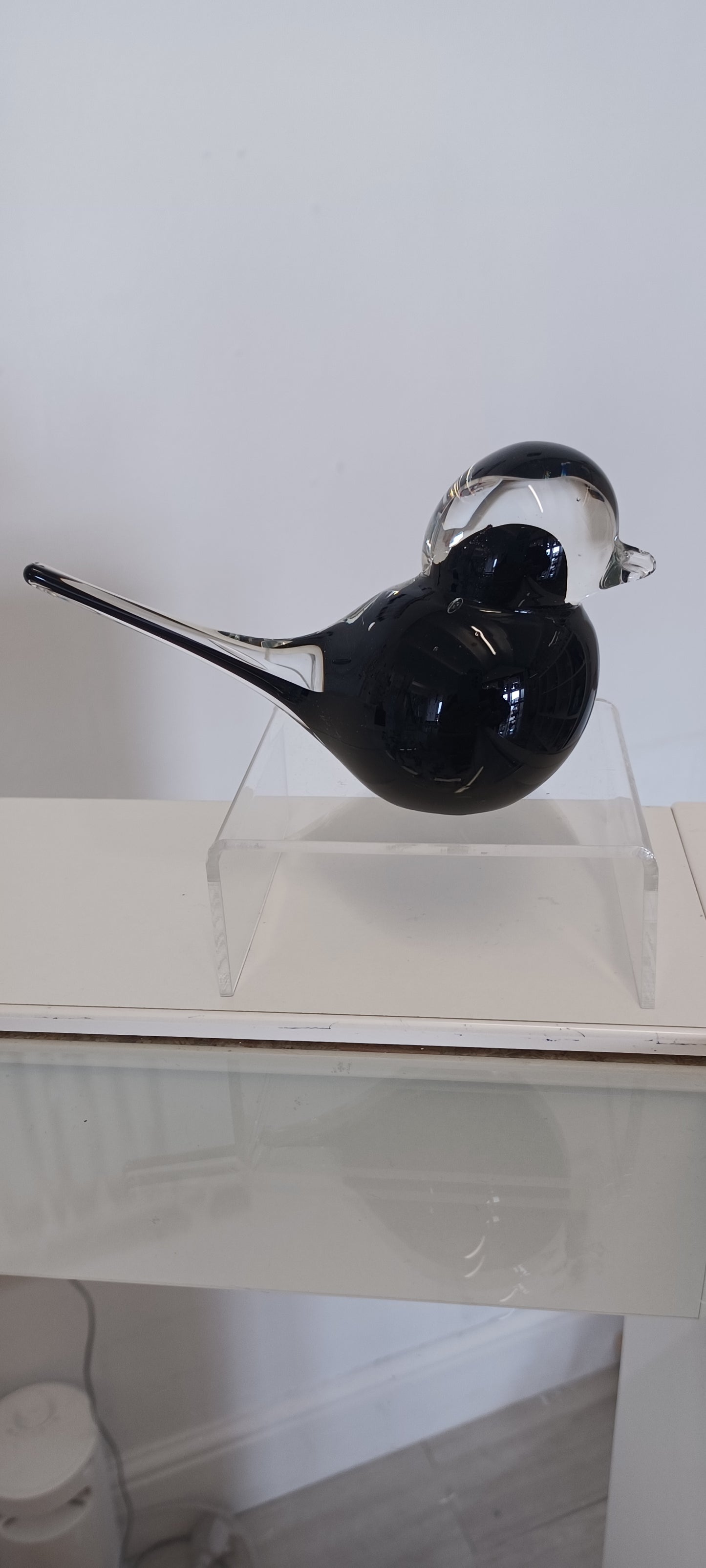 Glass Bird