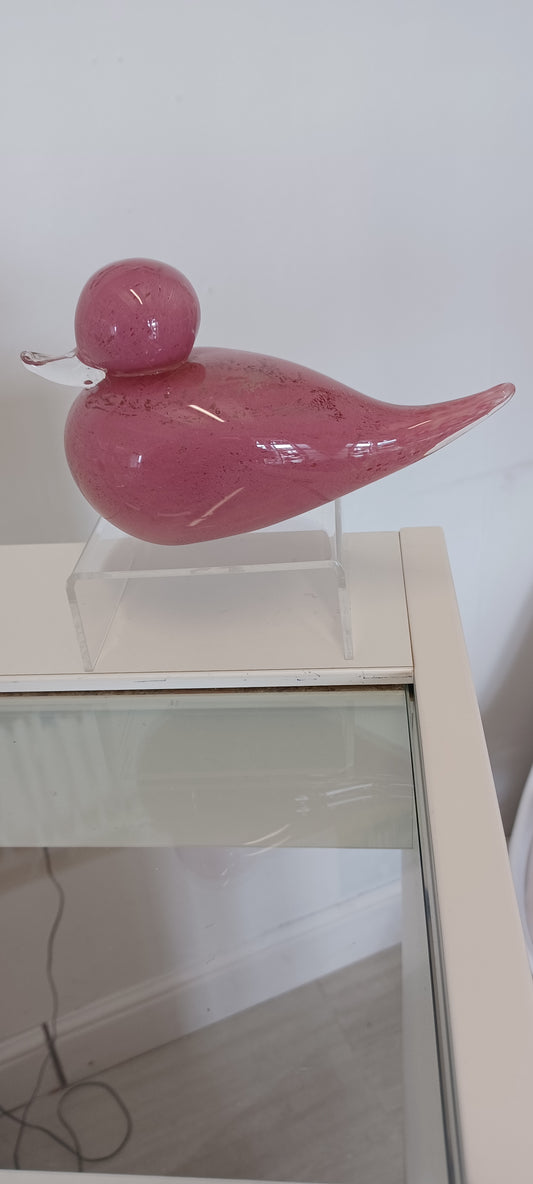 Glass Duck