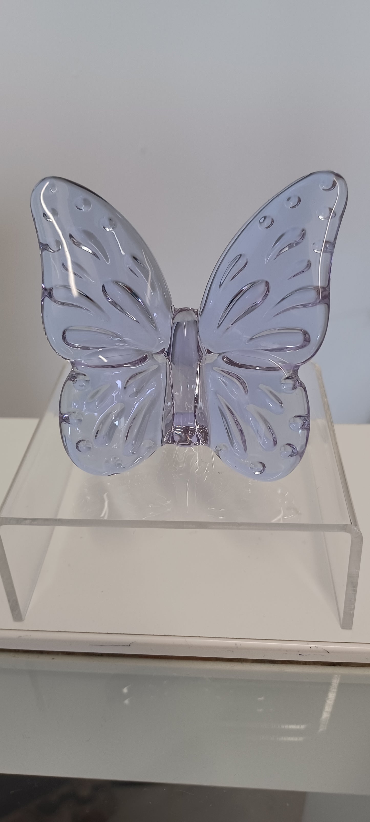 Glass Butterfly