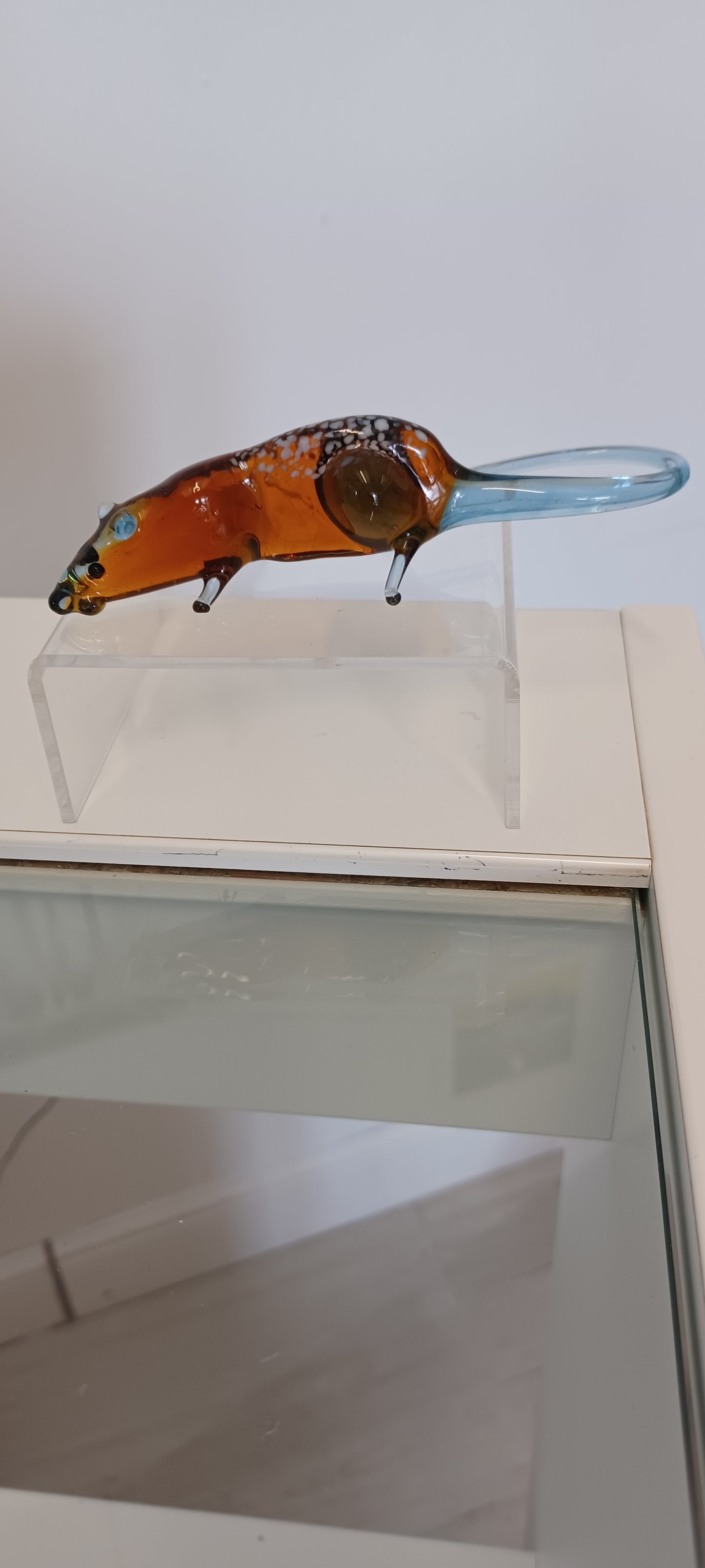 Glass Rat