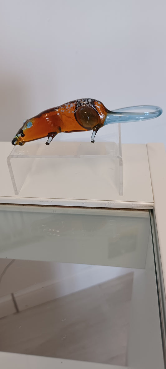 Glass Rat