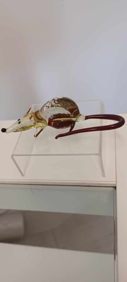 Glass Rat