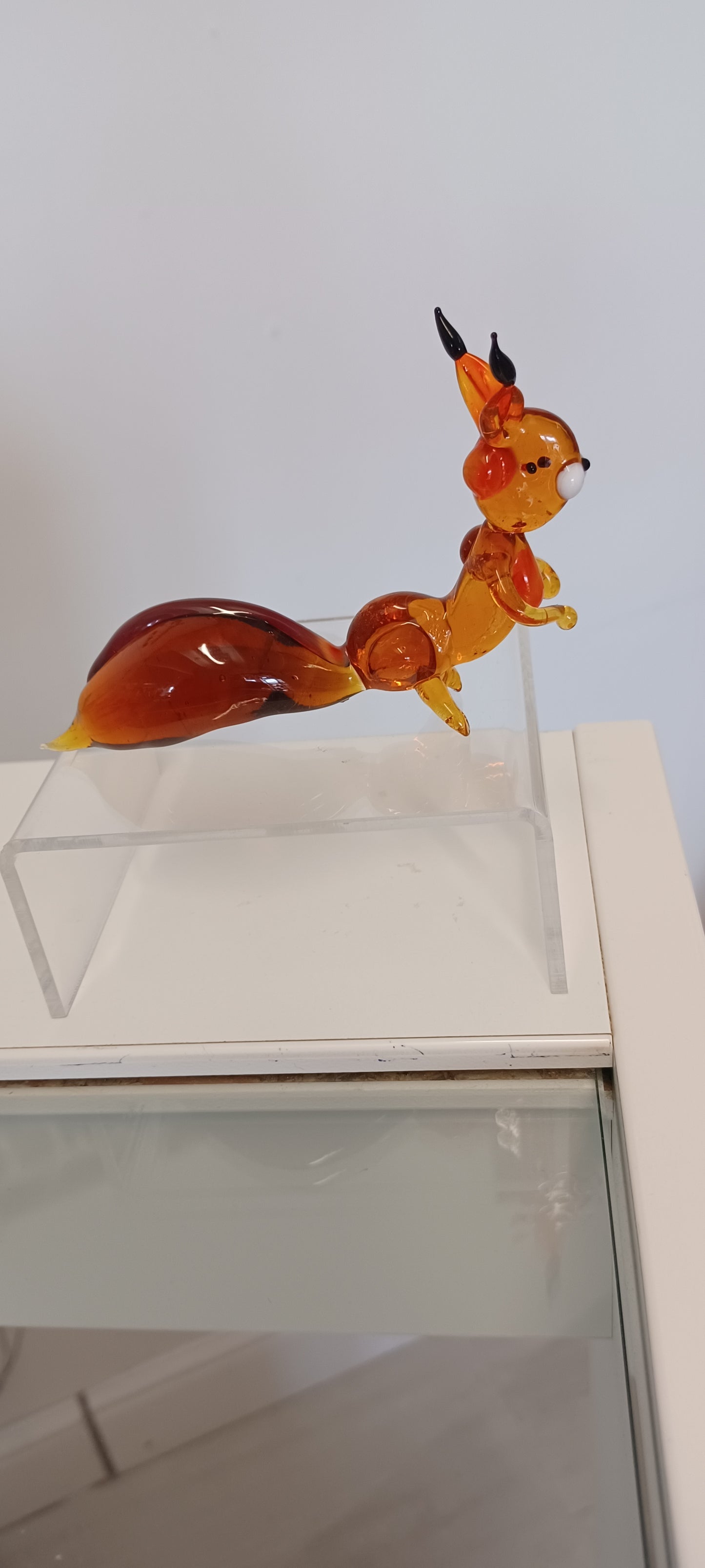 Glass Squirrel