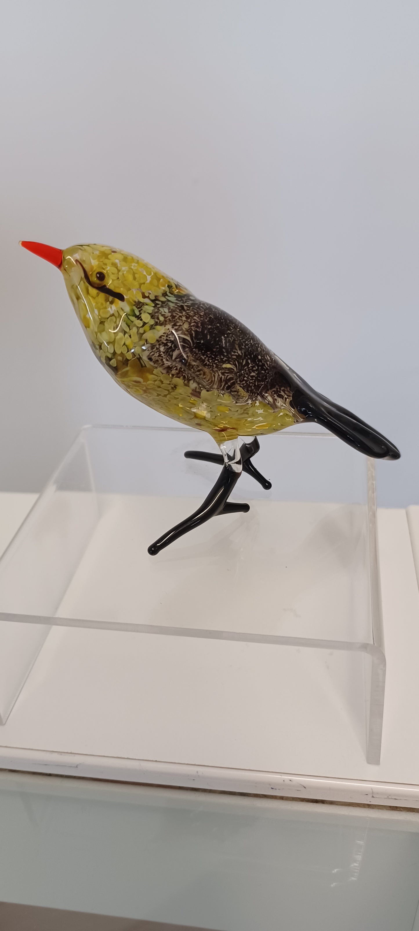 Glass Bird