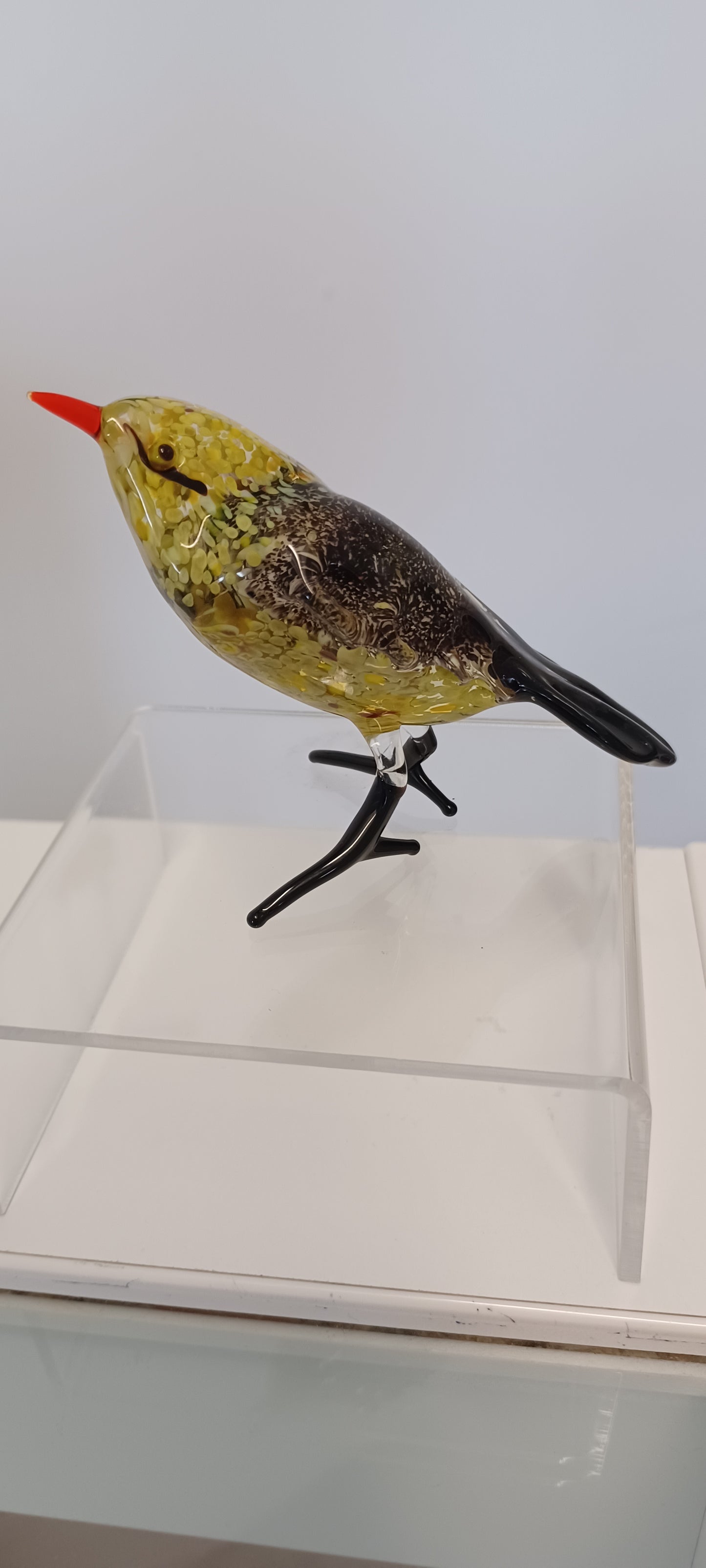 Glass Bird