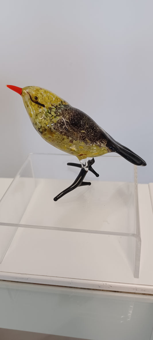Glass Bird