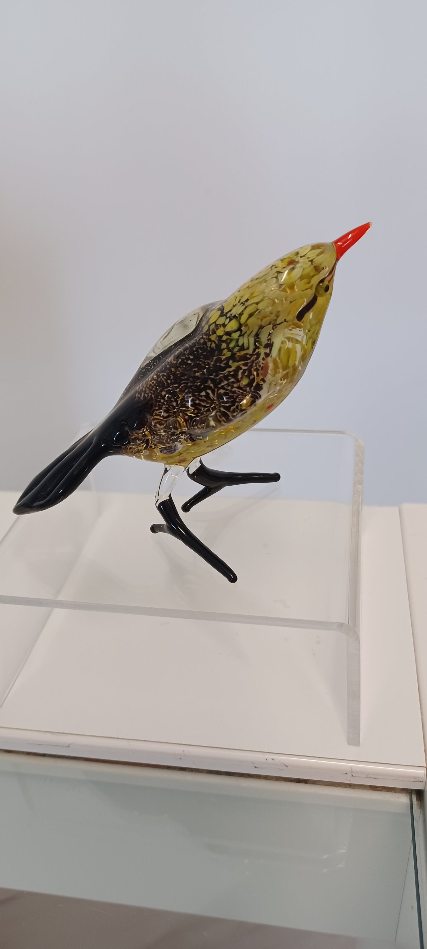 Glass Bird