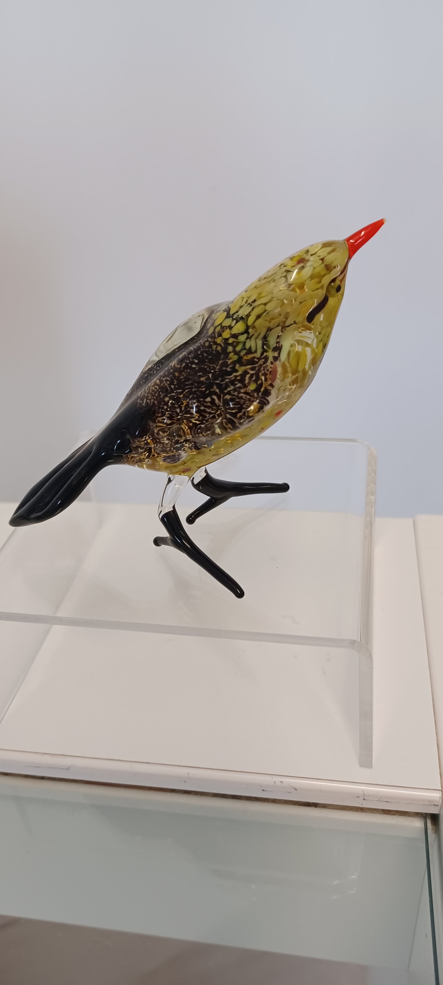 Glass Bird