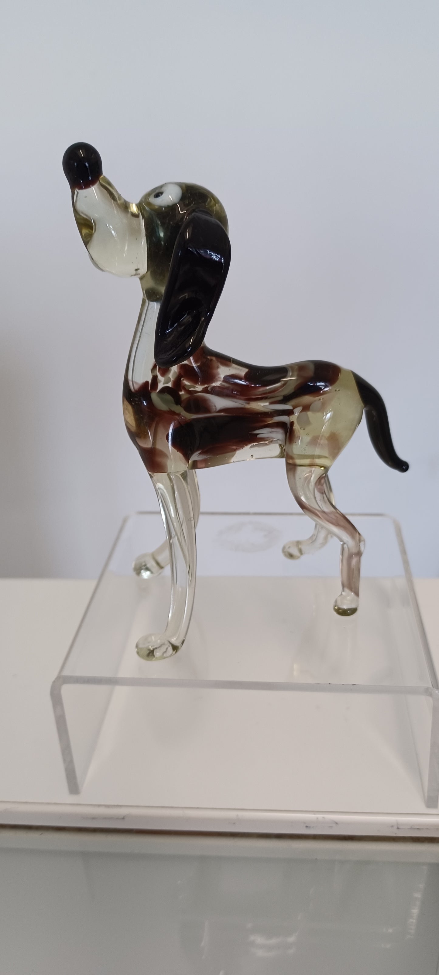 Glass Dog