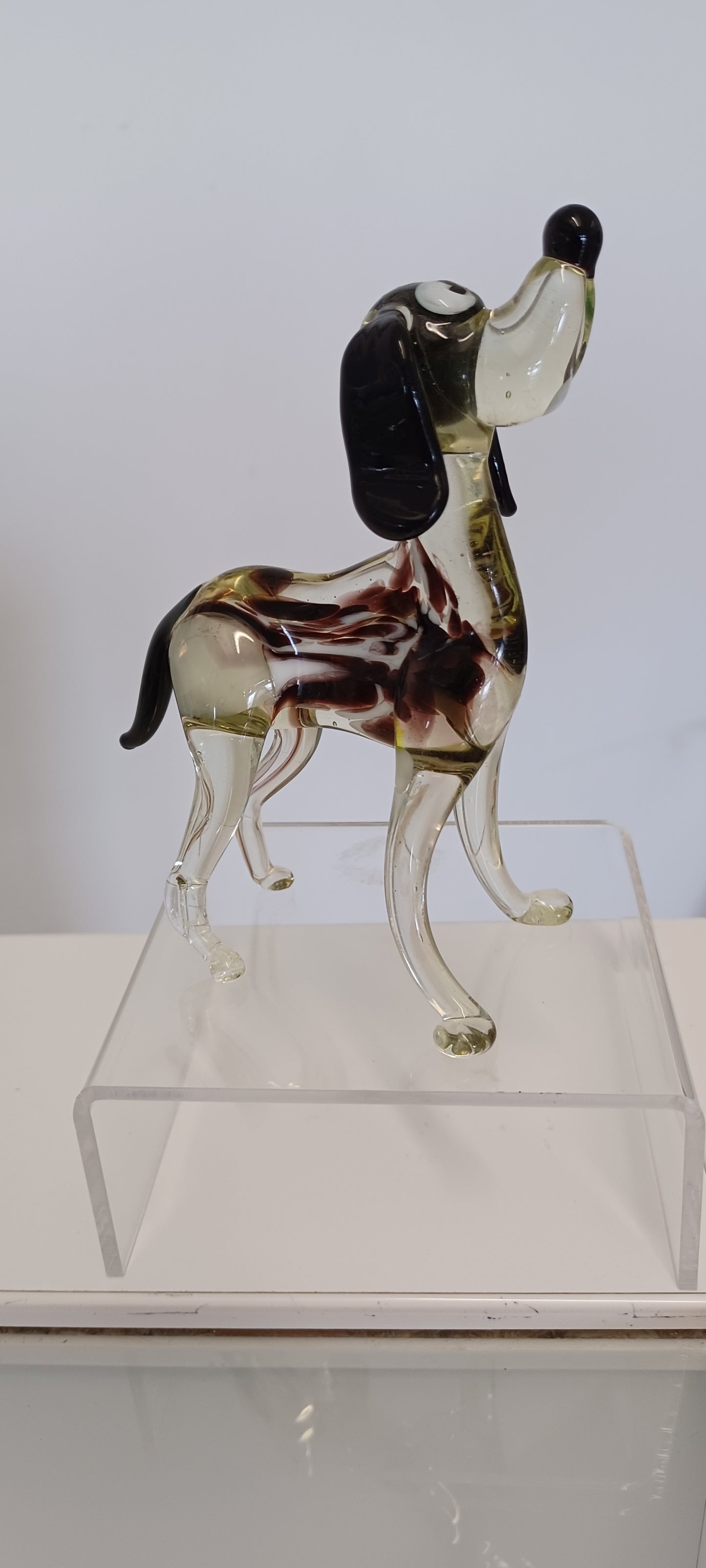 Glass Dog