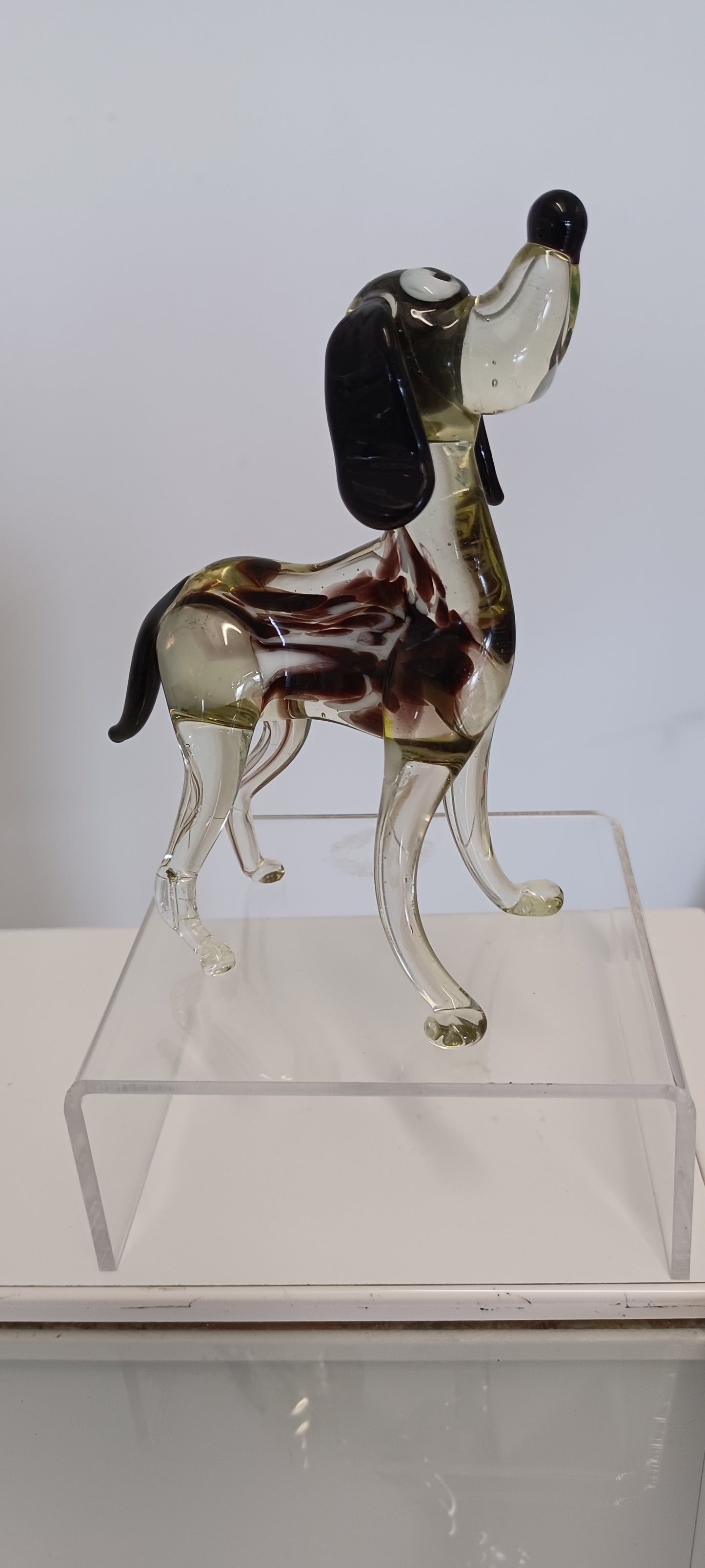 Glass Dog