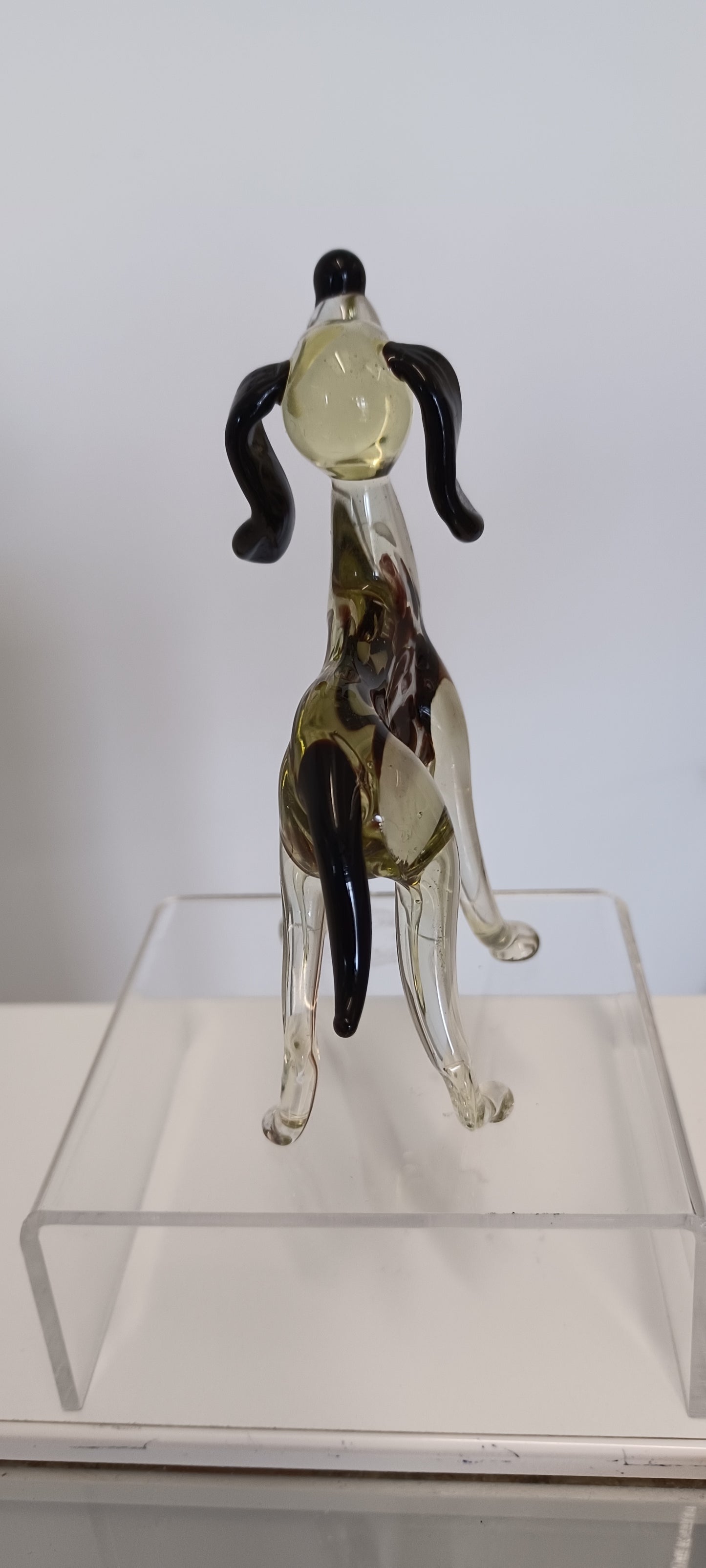 Glass Dog