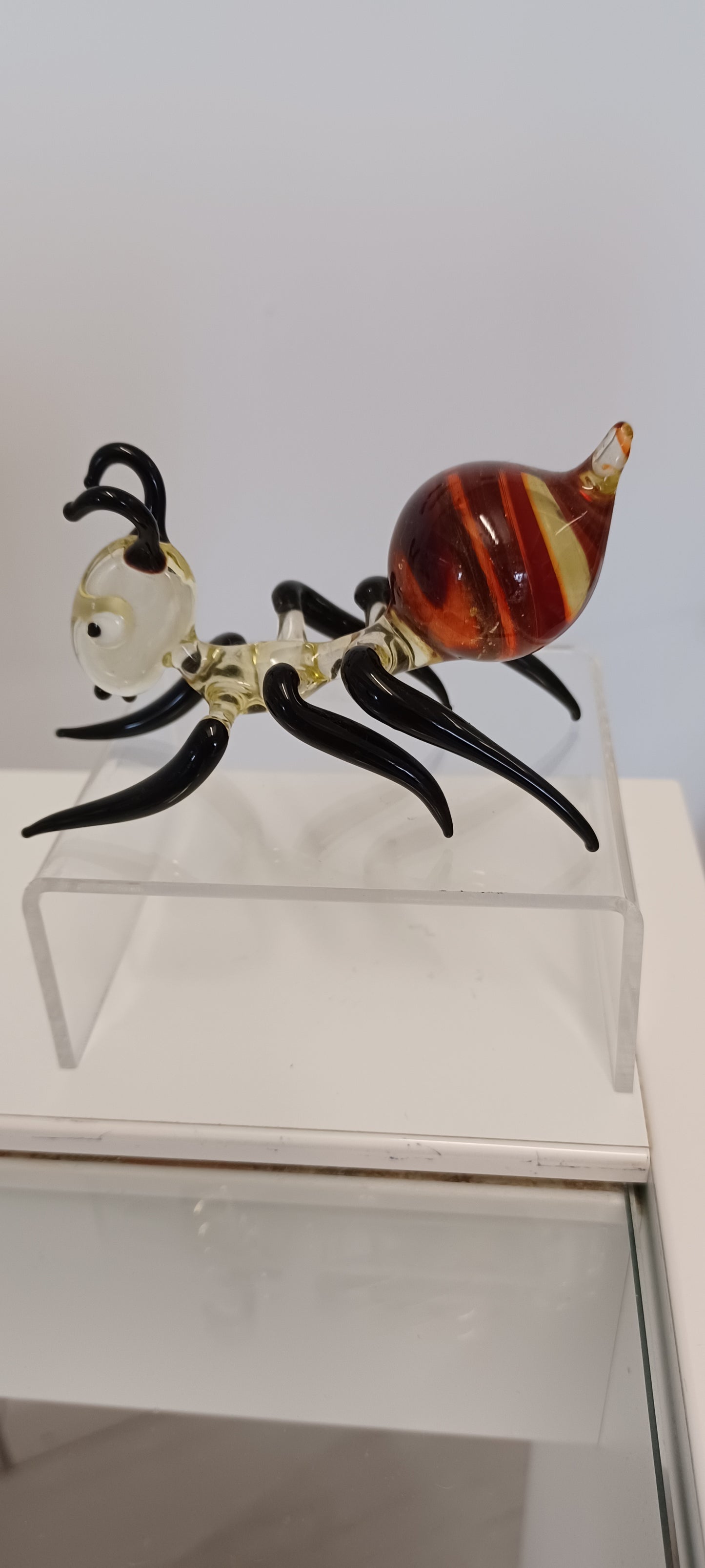 Glass Ant