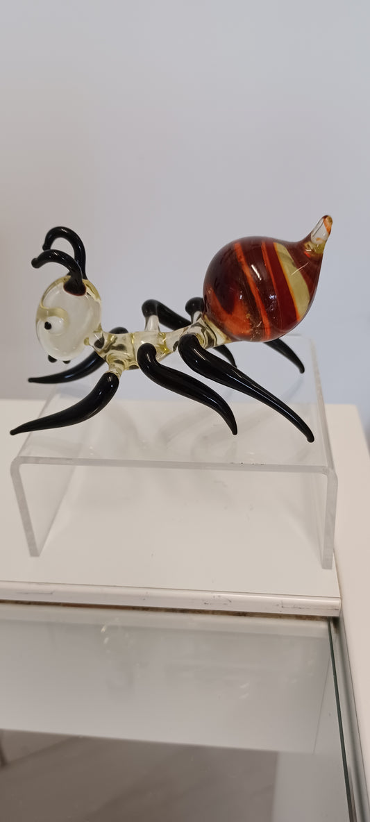 Glass Ant