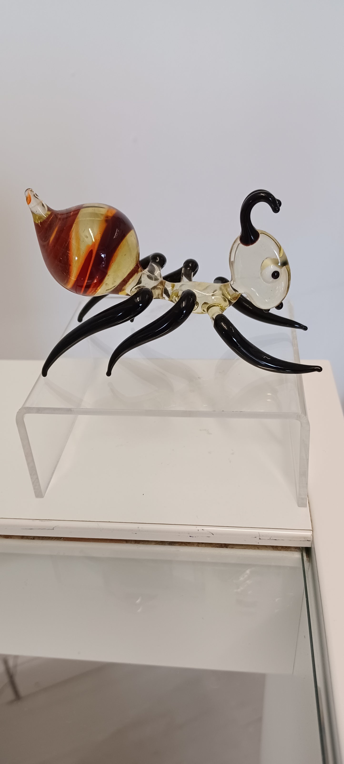 Glass Ant