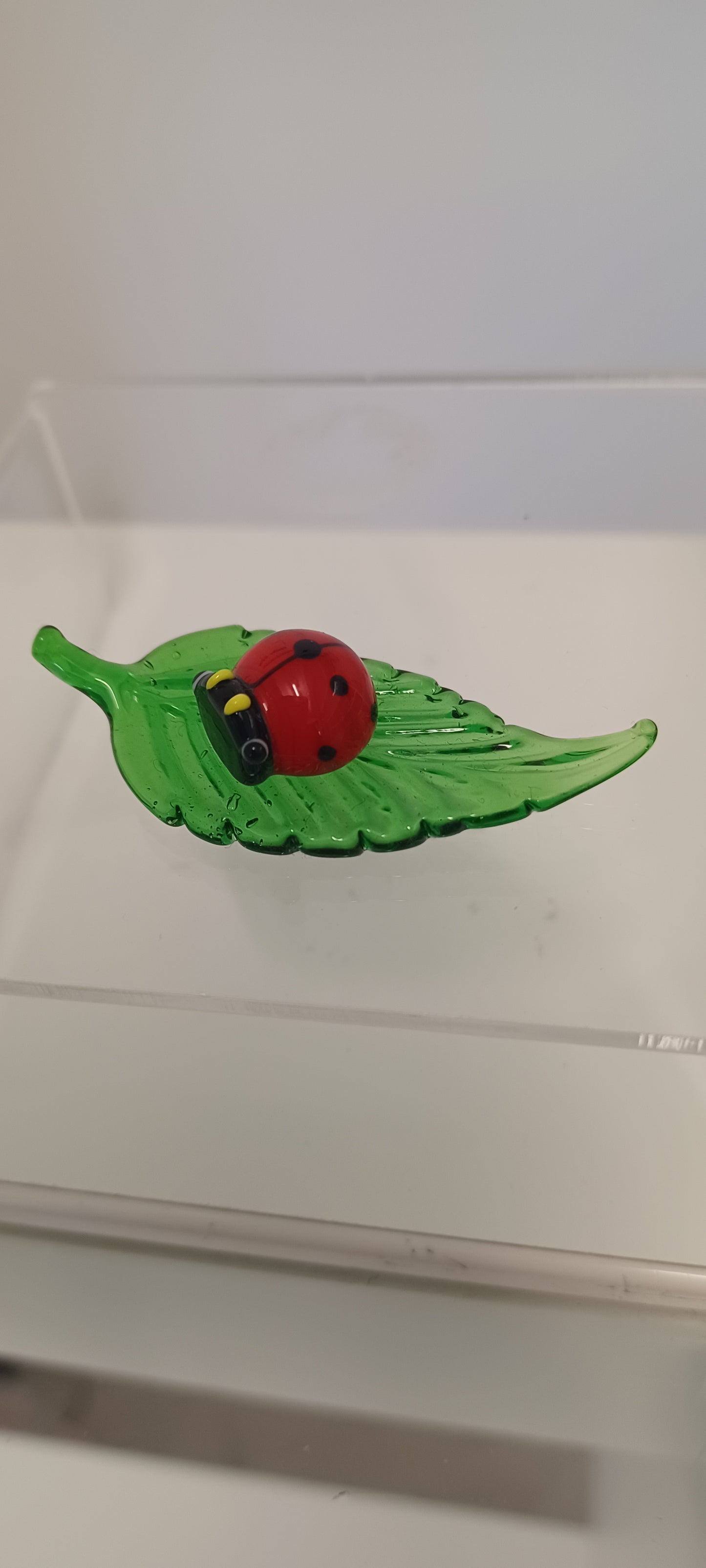 Glass Ladybird