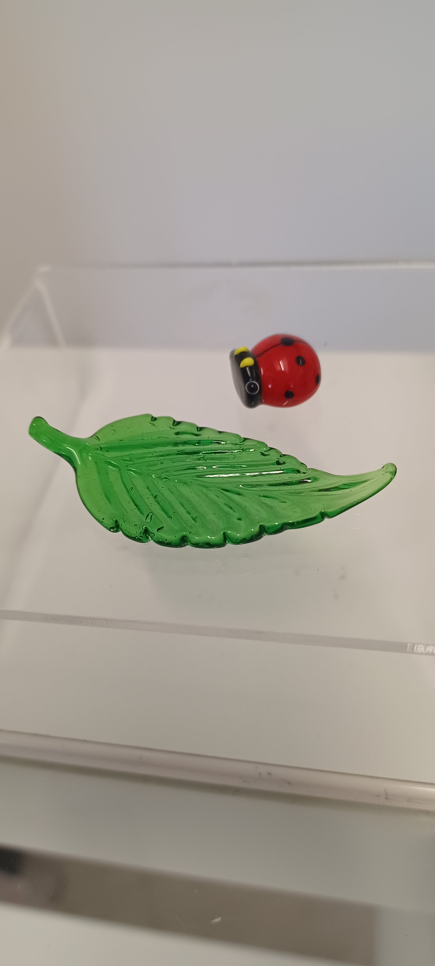 Glass Ladybird