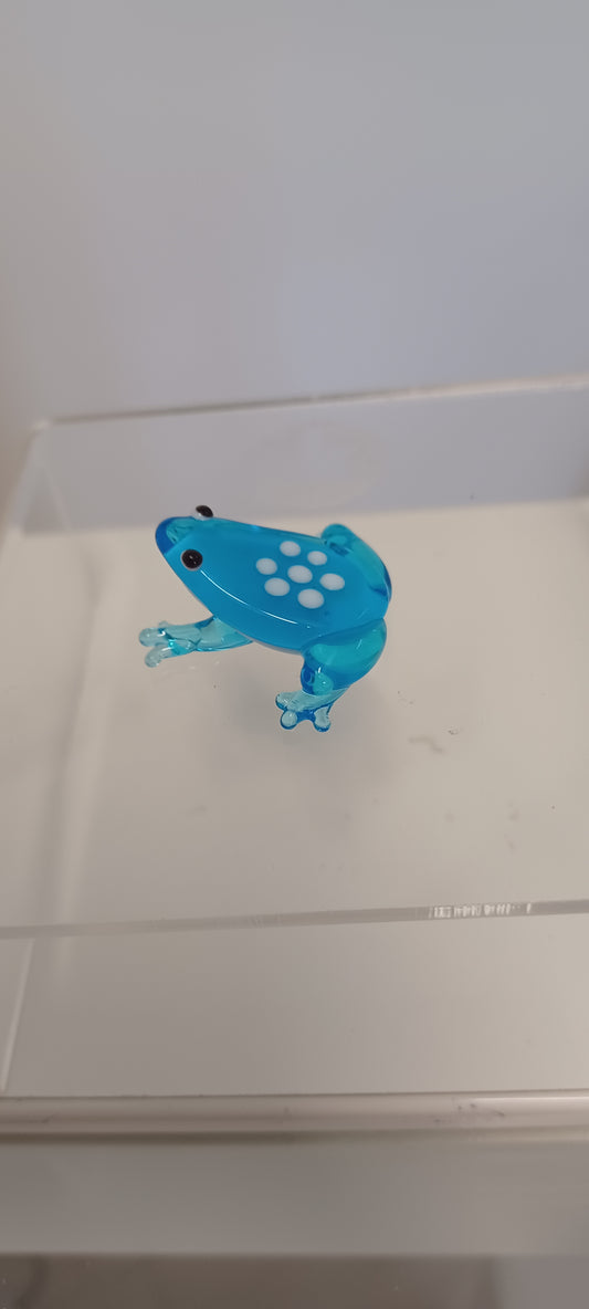 Glass Frog