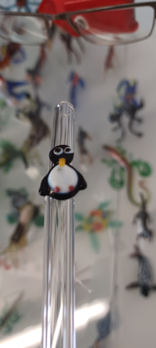 Glass Straw