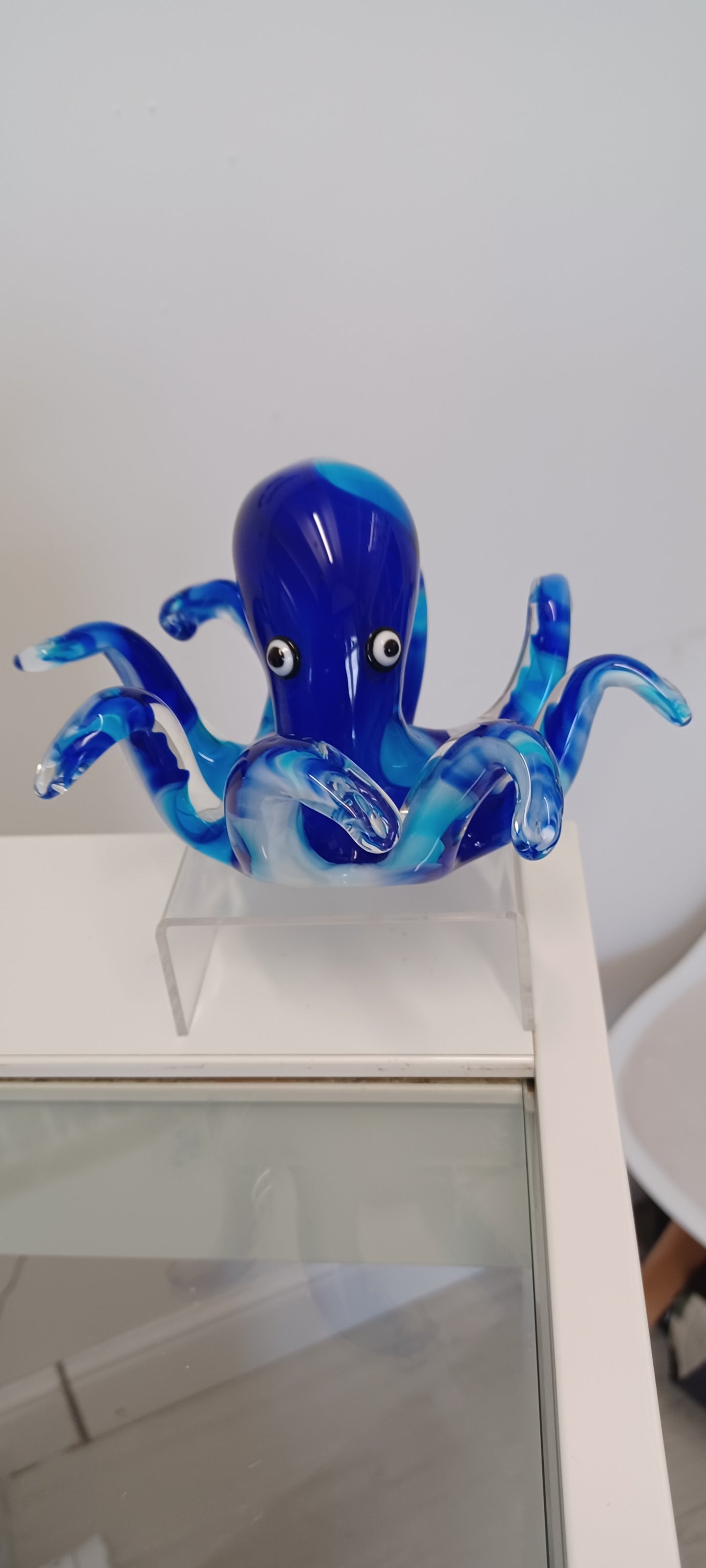 Glass Octopus