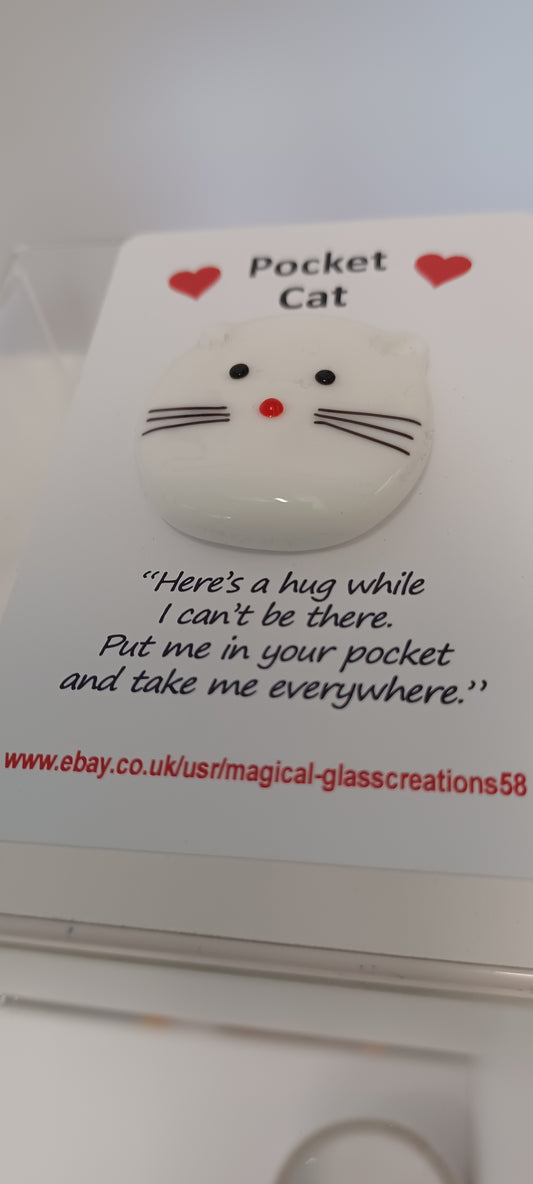 Glass  Cat