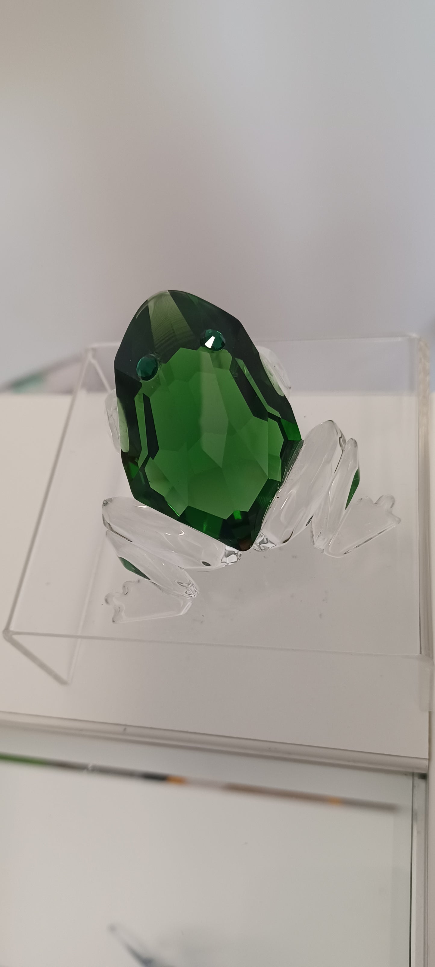 Glass Frog