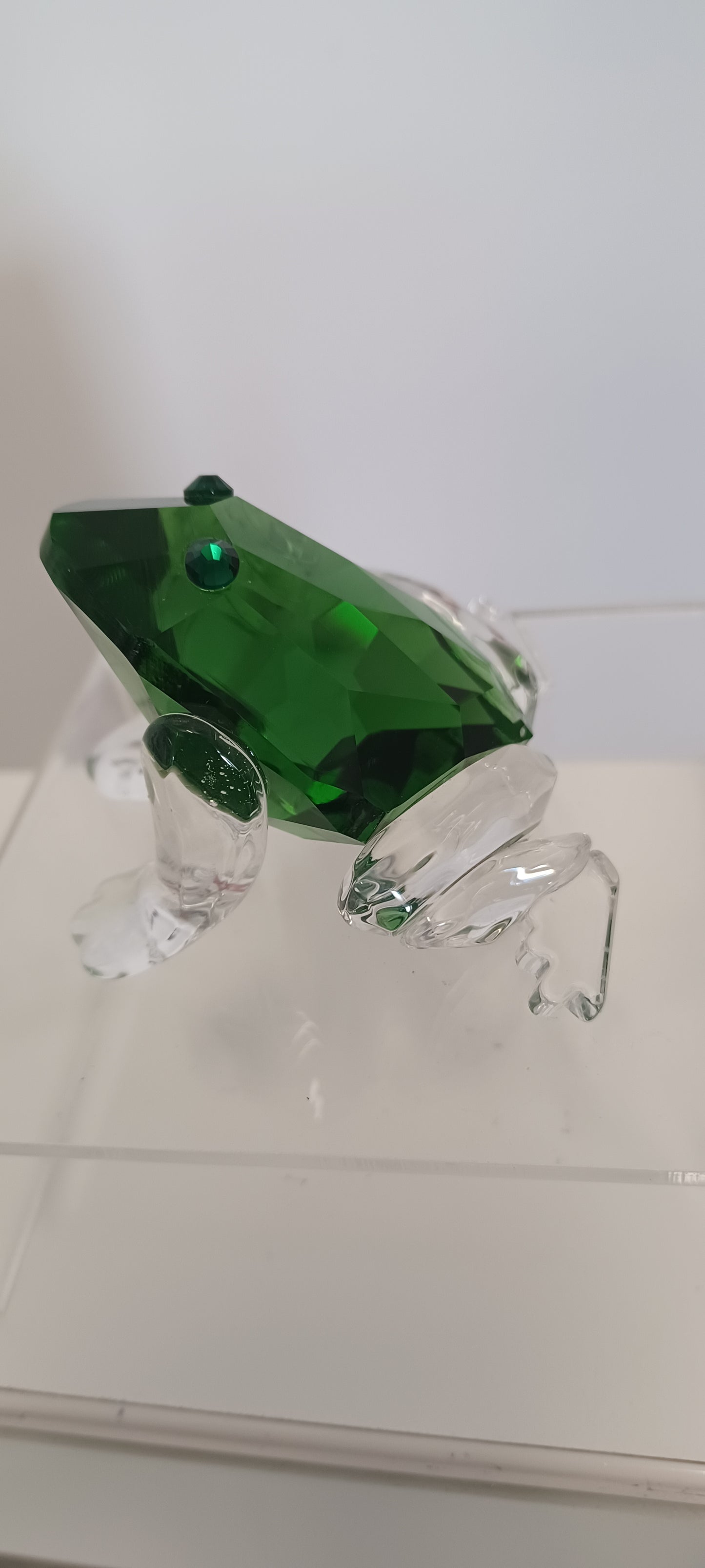 Glass Frog