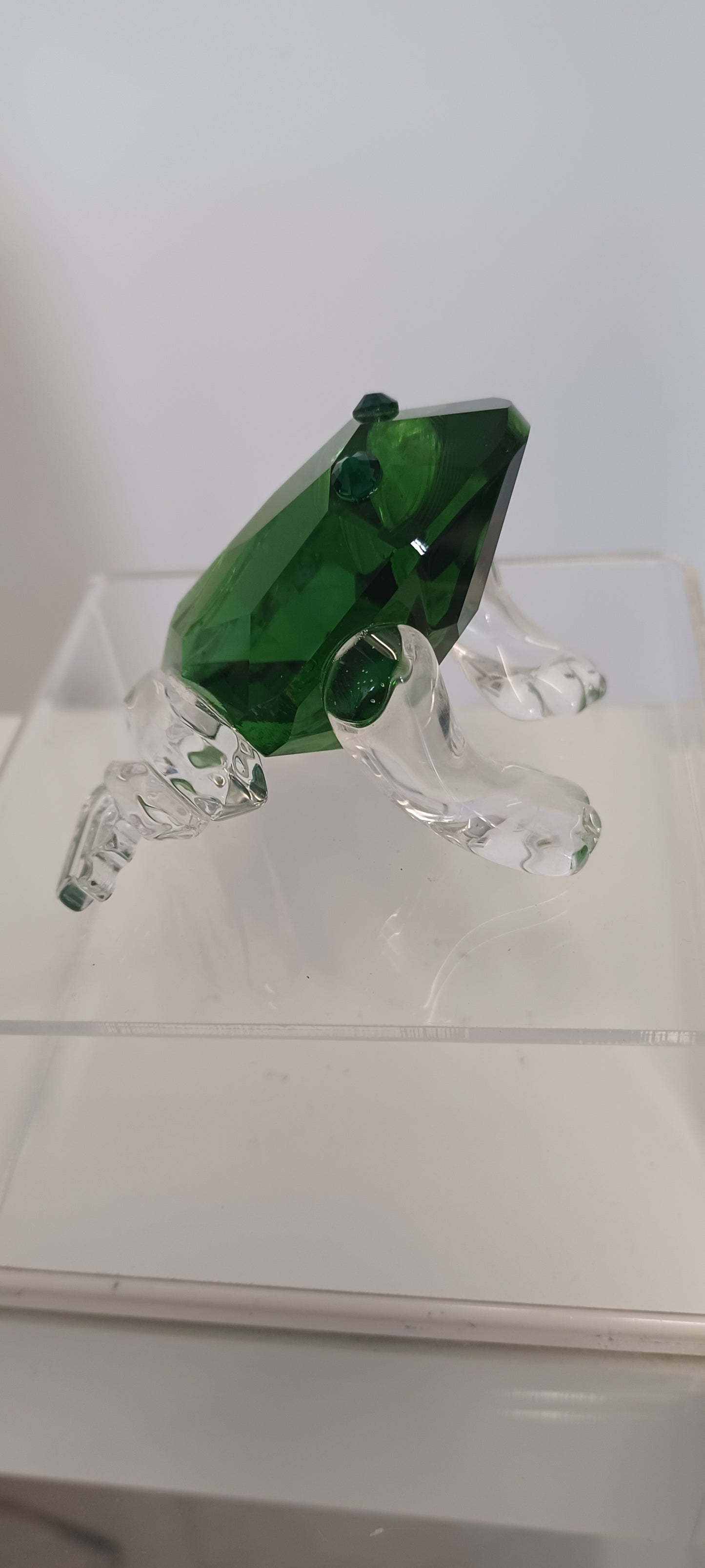 Glass Frog