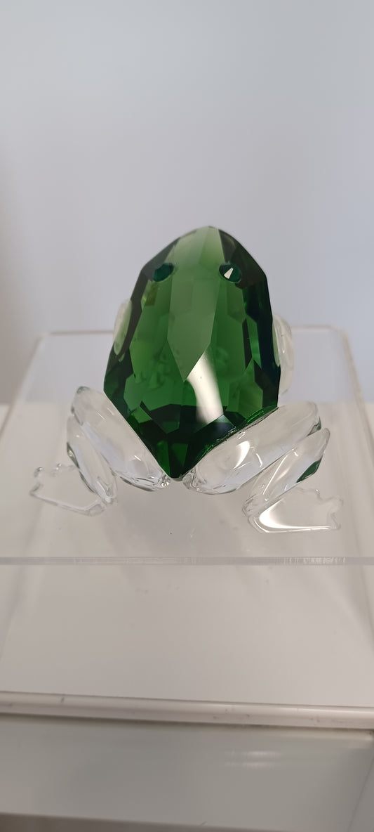 Glass Frog